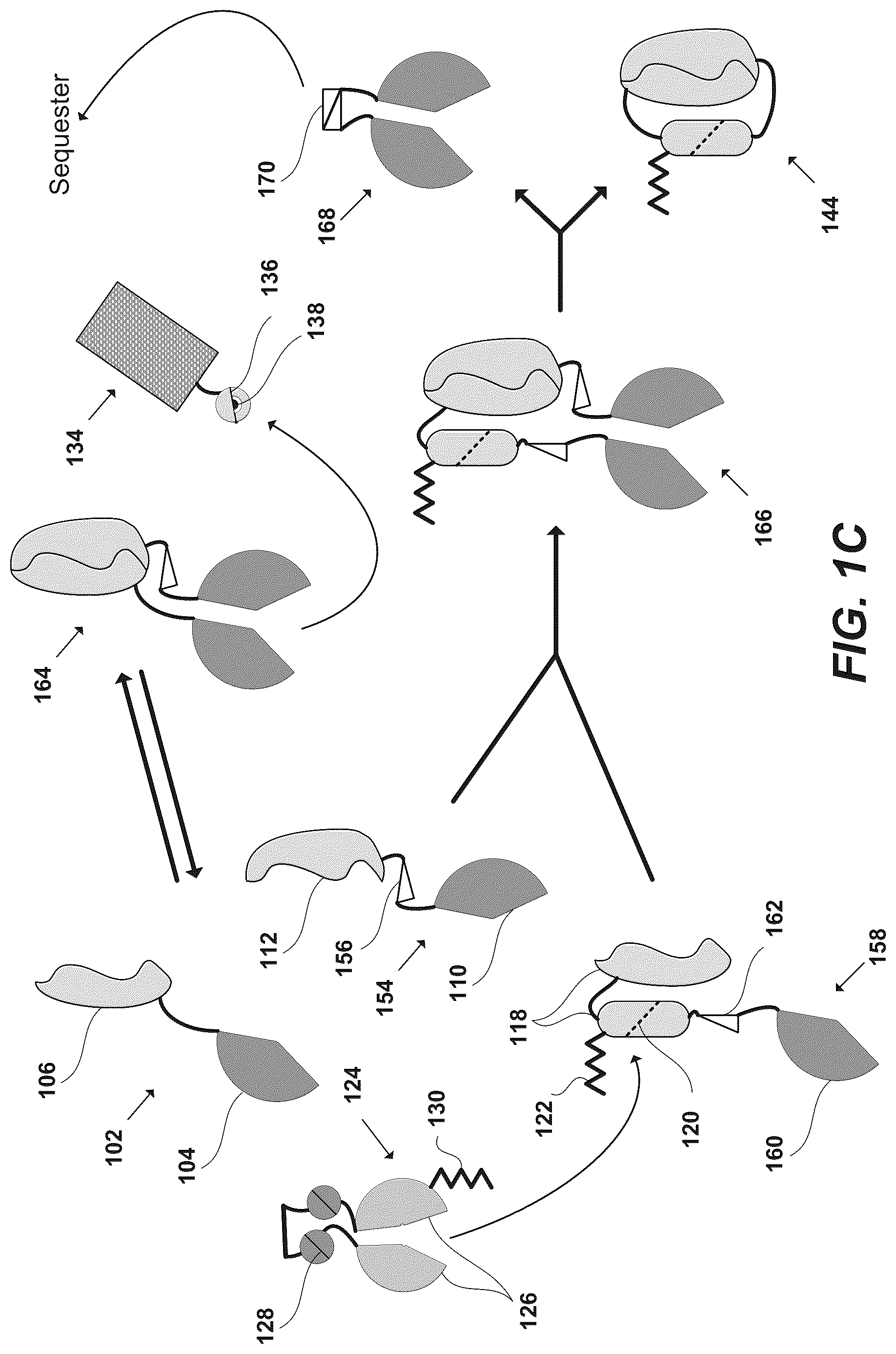 Patent US12297230 Figure 3 – Synthetic system for tunable thresholding of protein signals