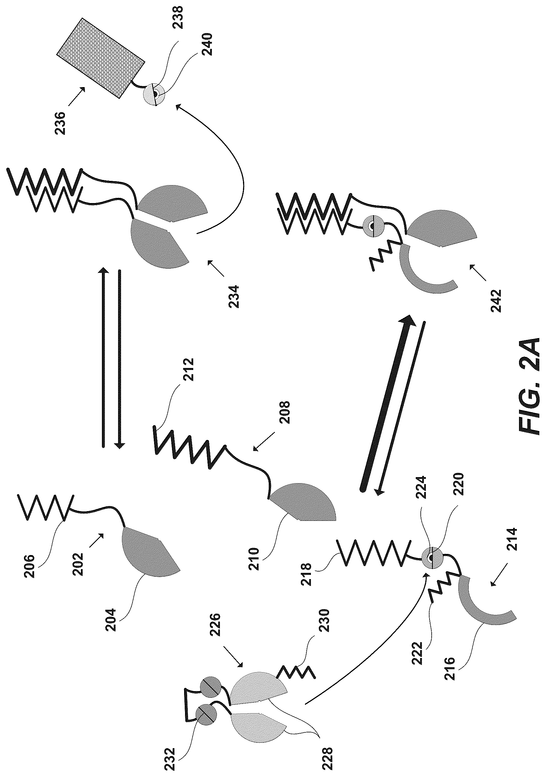Patent US12297230 Figure 5 – Synthetic system for tunable thresholding of protein signals