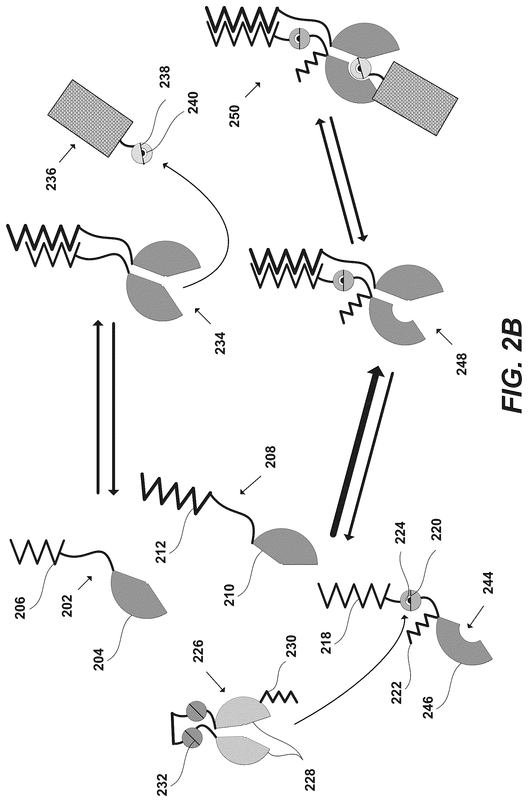 Patent US12297230 Figure 6 – Synthetic system for tunable thresholding of protein signals
