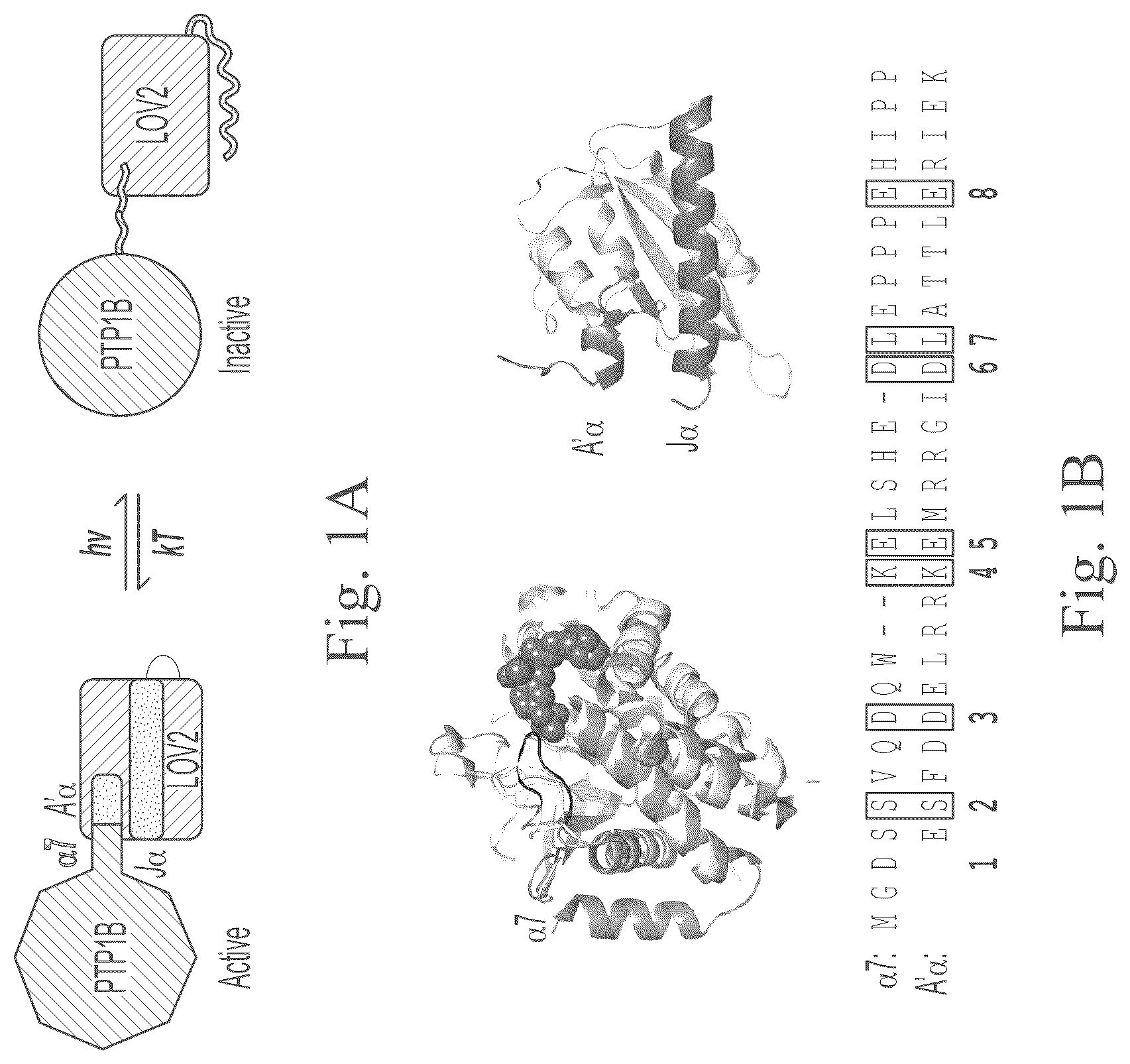 Patent US12297234 — Genetically encoded system for constructing and detecting biologically active agents — Figure 1