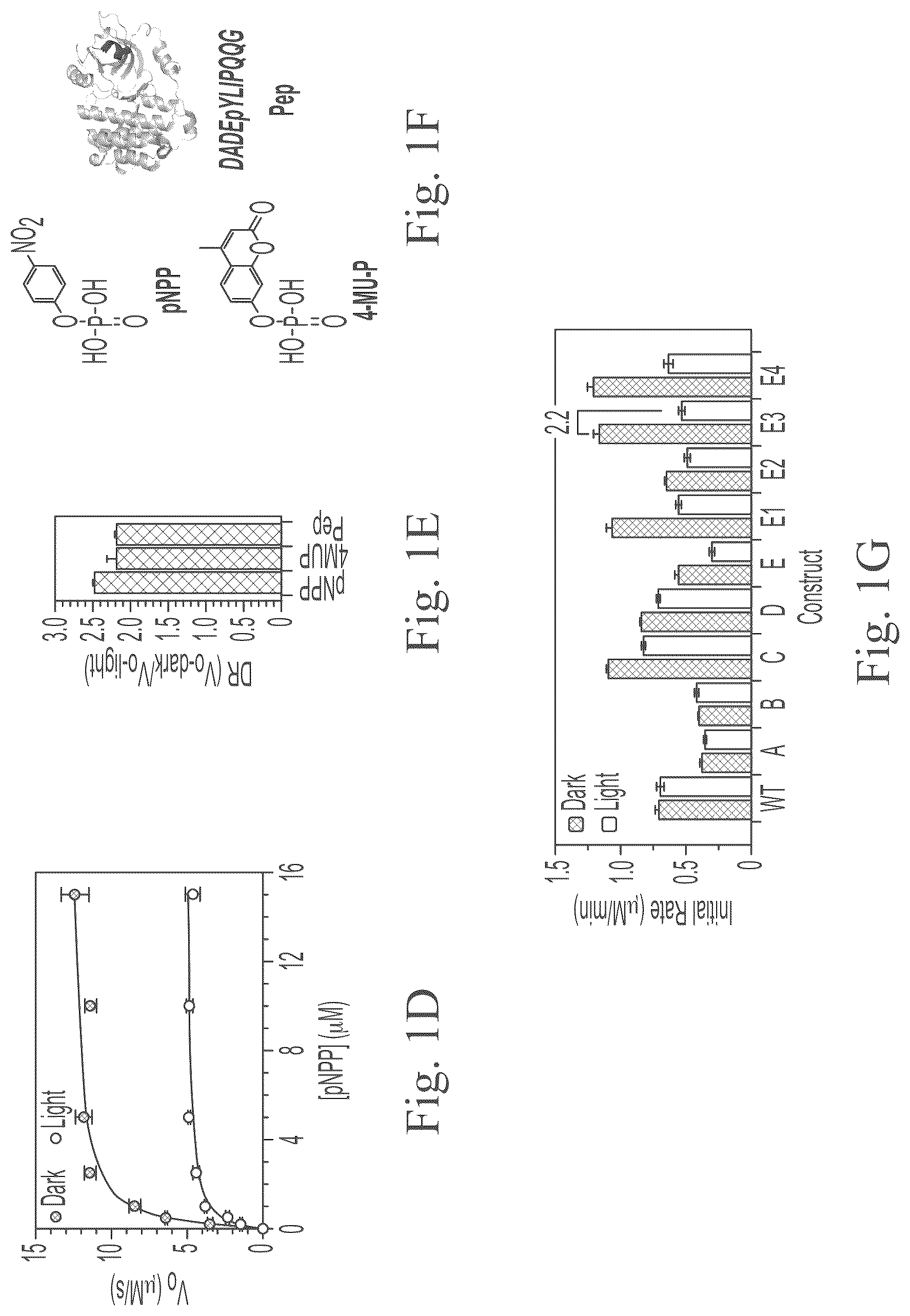 Patent US12297234 Figure 3 – Genetically encoded system for constructing and detecting biologically active agents