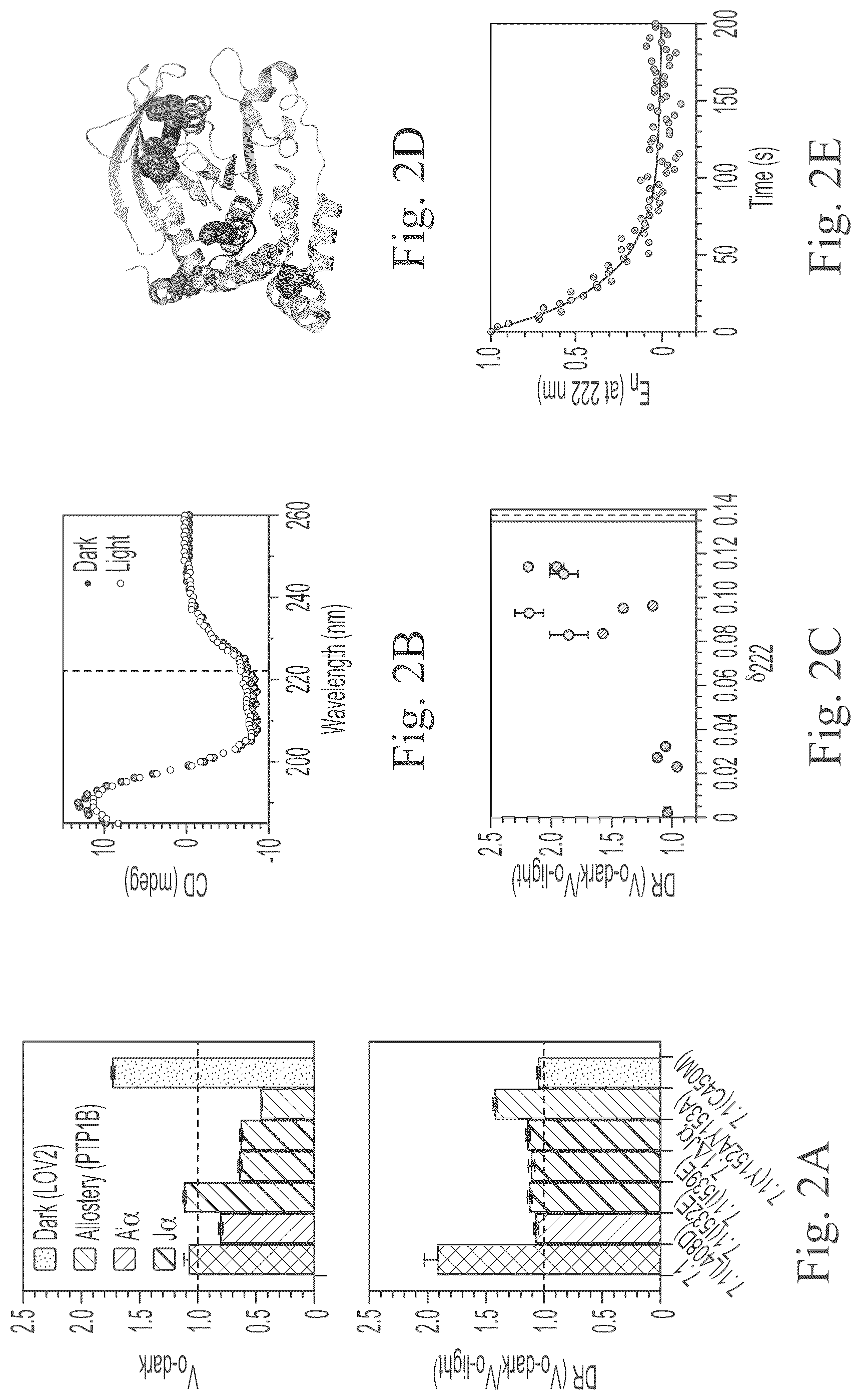 Patent US12297234 Figure 4 – Genetically encoded system for constructing and detecting biologically active agents