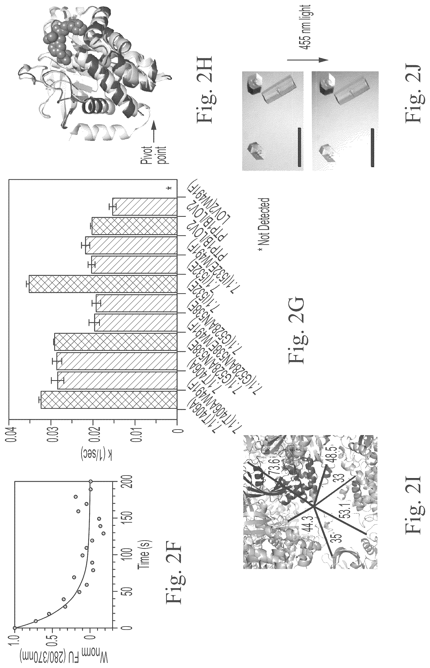 Patent US12297234 Figure 5 – Genetically encoded system for constructing and detecting biologically active agents