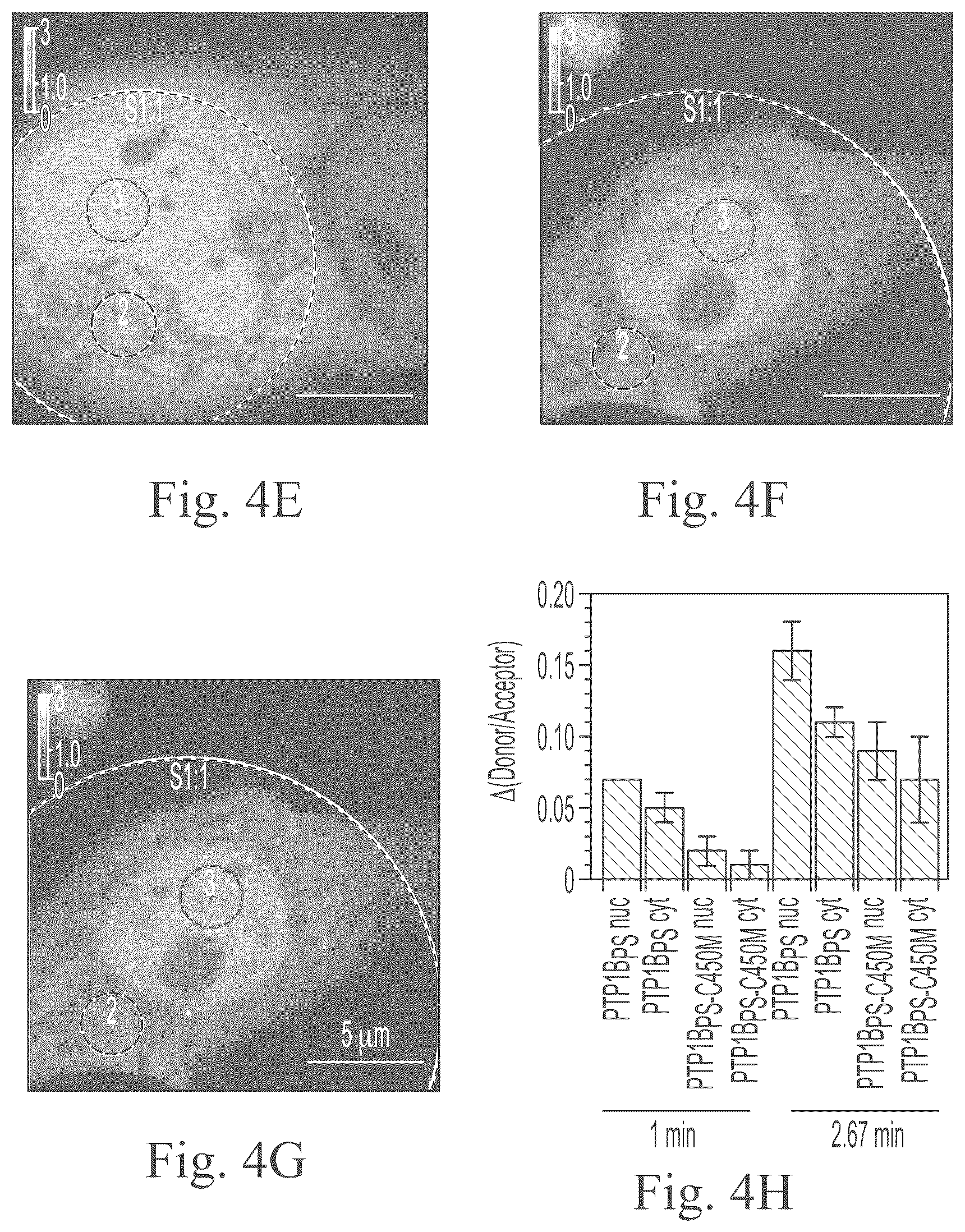Patent US12297234 Figure 8 – Genetically encoded system for constructing and detecting biologically active agents