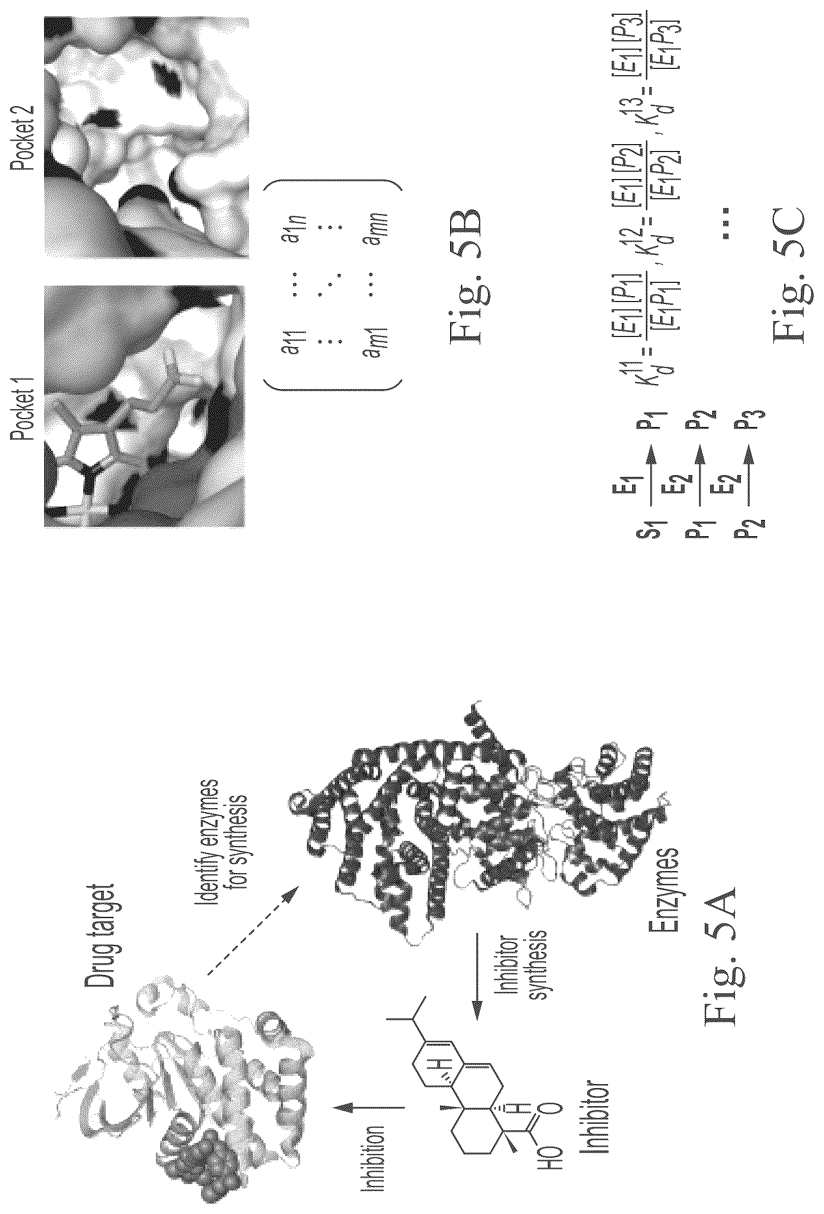 Patent US12297234 Figure 9 – Genetically encoded system for constructing and detecting biologically active agents