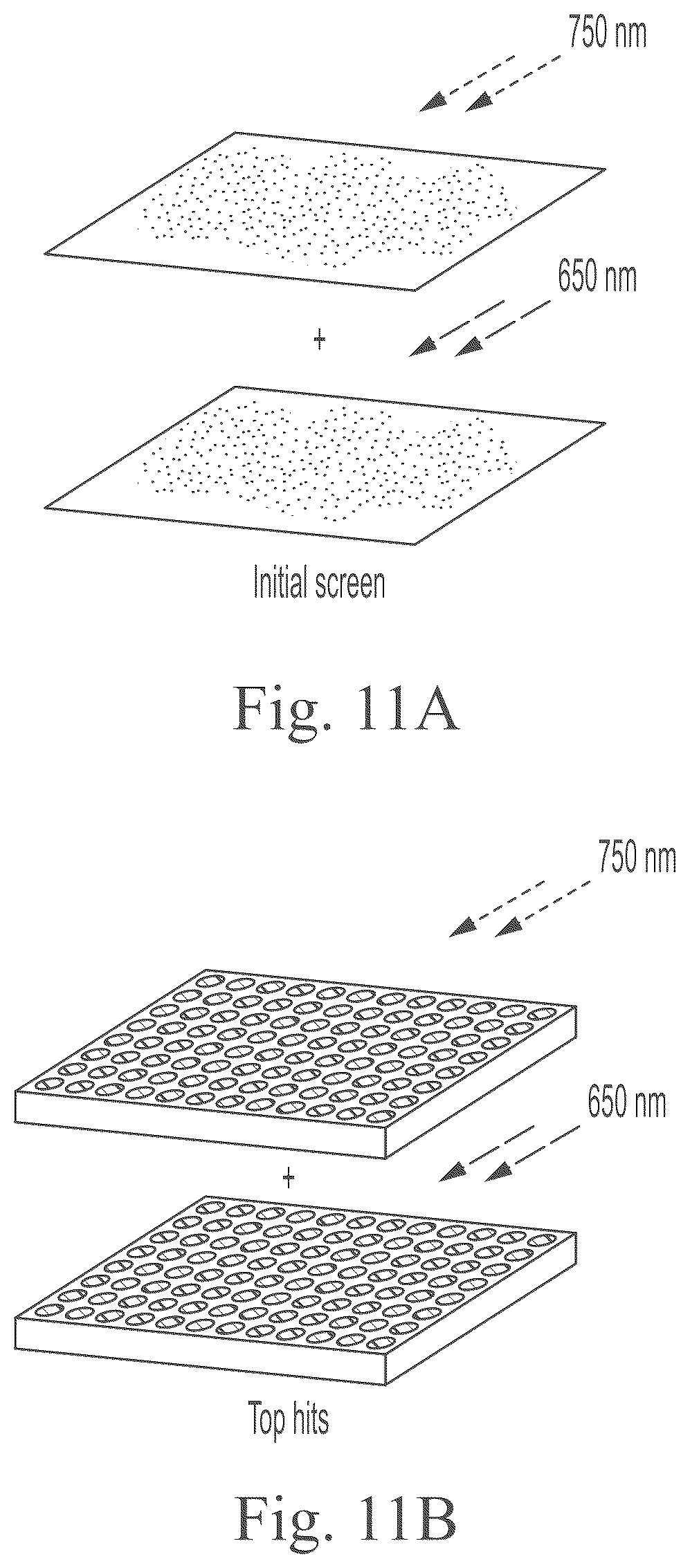 Patent US12297234 Figure 13 – Genetically encoded system for constructing and detecting biologically active agents