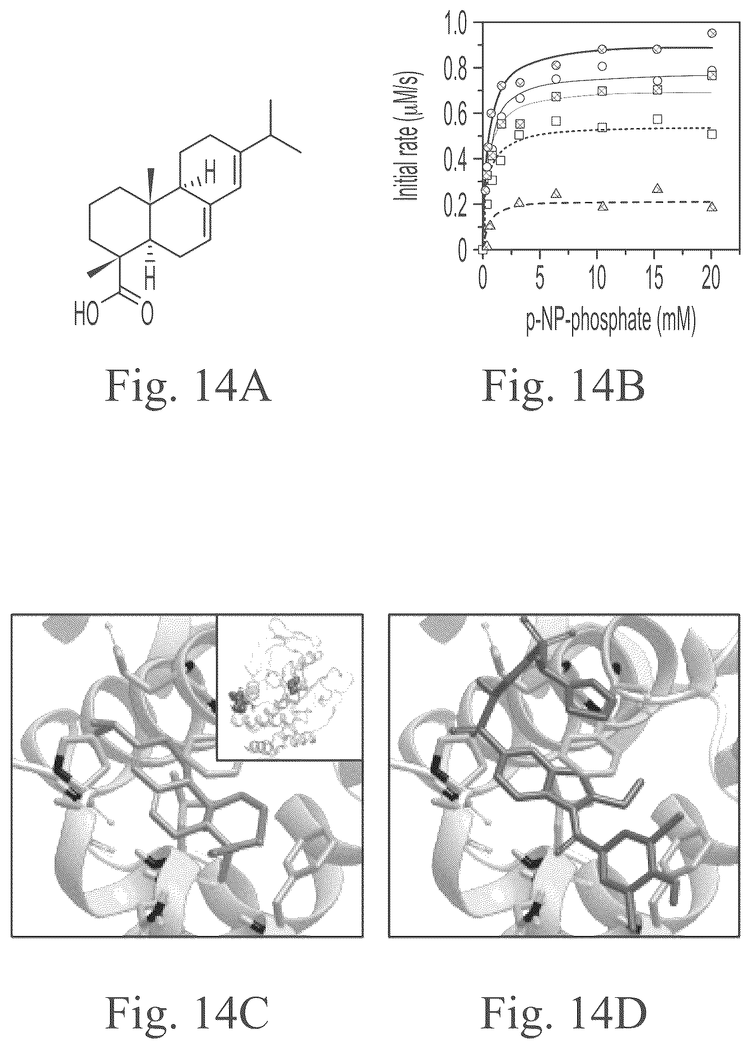 Patent US12297234 Figure 16 – Genetically encoded system for constructing and detecting biologically active agents