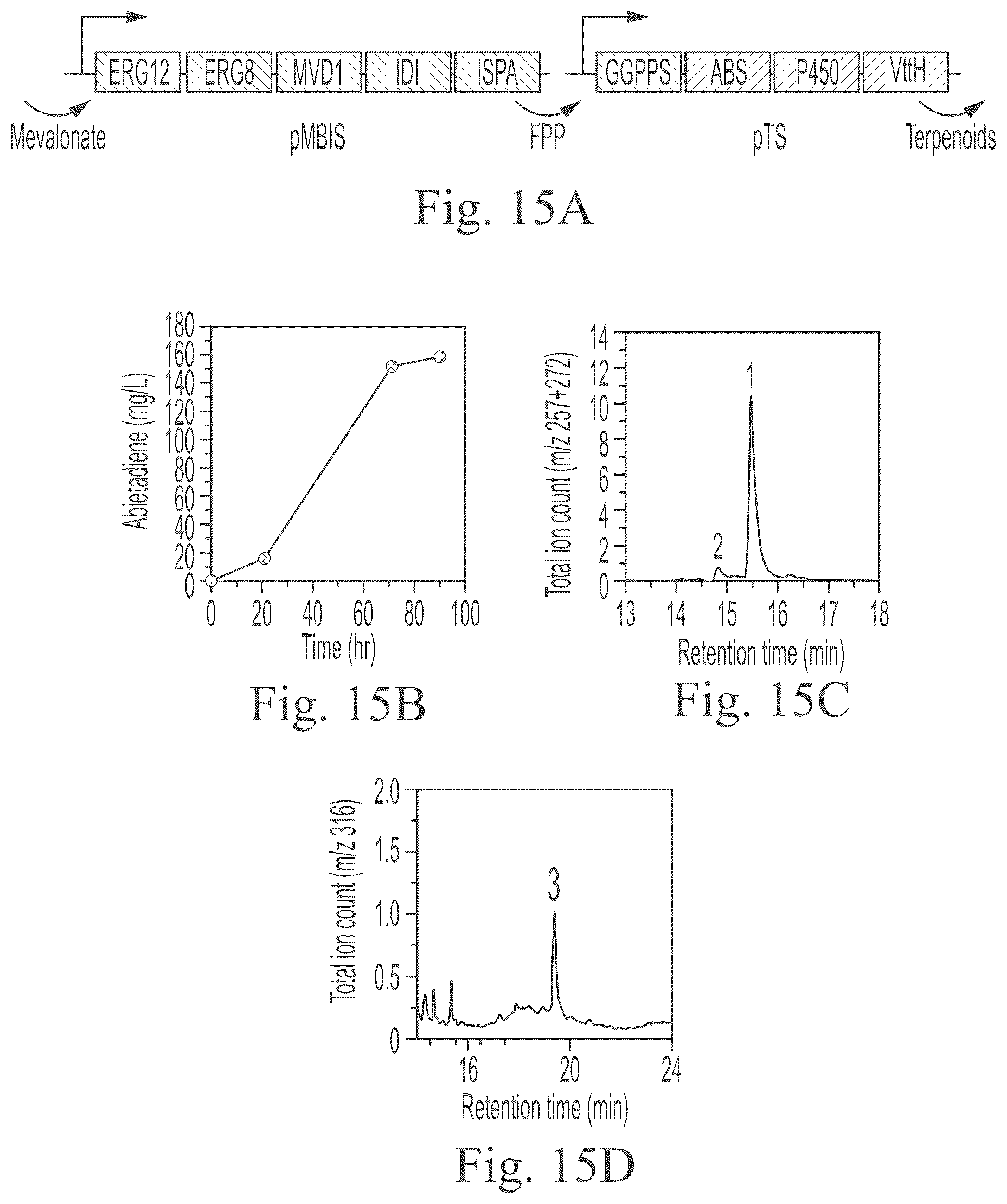 Patent US12297234 Figure 17 – Genetically encoded system for constructing and detecting biologically active agents