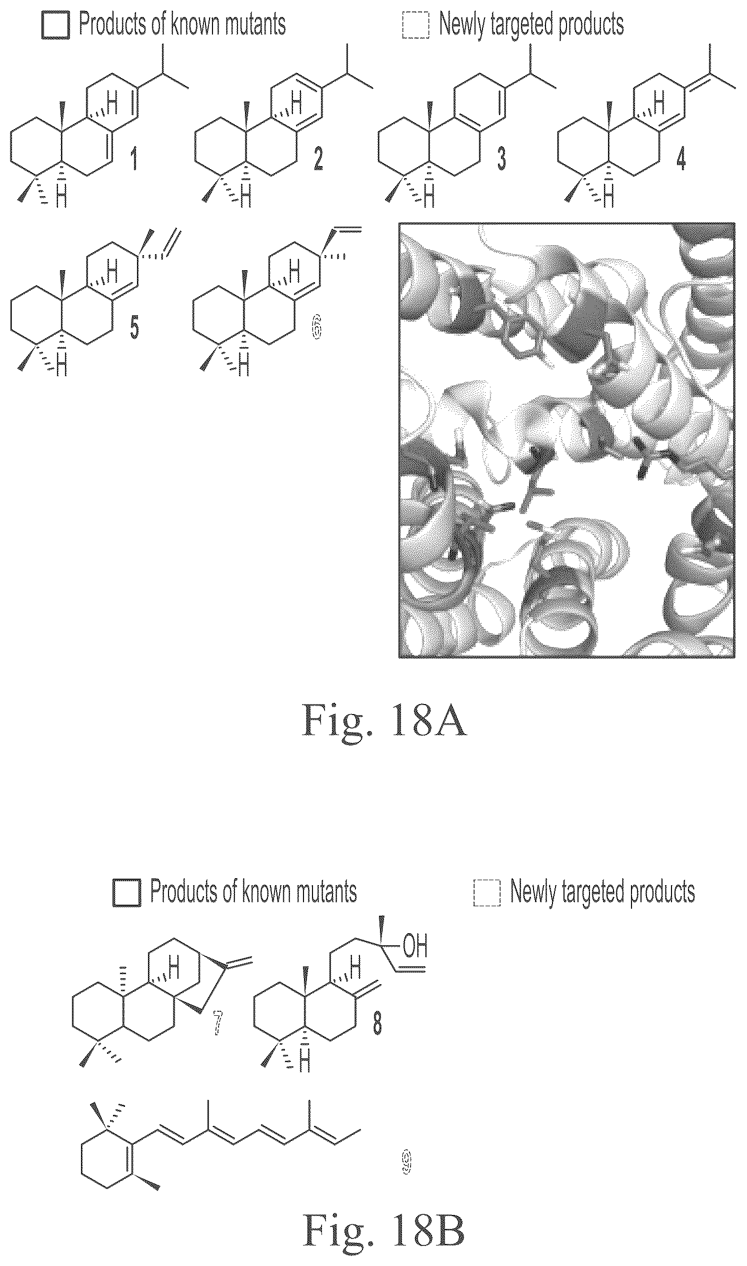 Patent US12297234 Figure 20 – Genetically encoded system for constructing and detecting biologically active agents