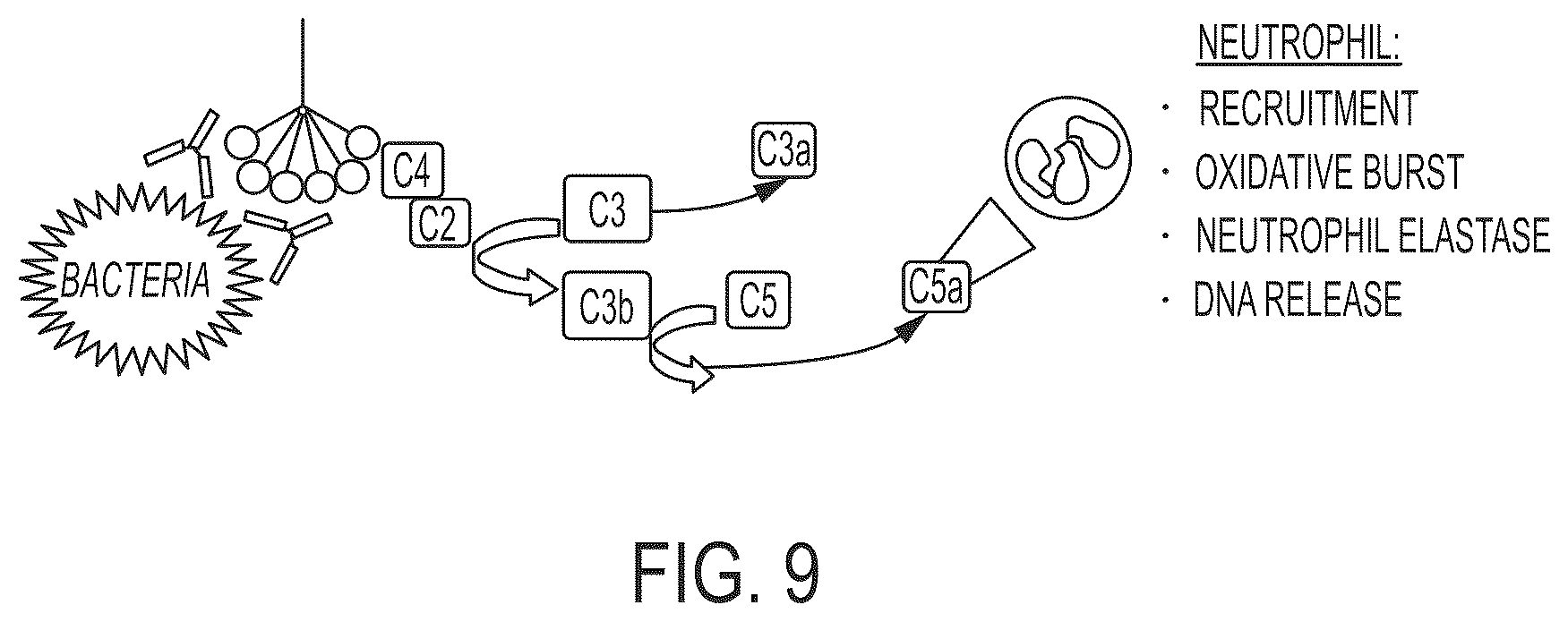 Patent US12297235 Figure 10 – Synthetic peptide compounds and methods of use