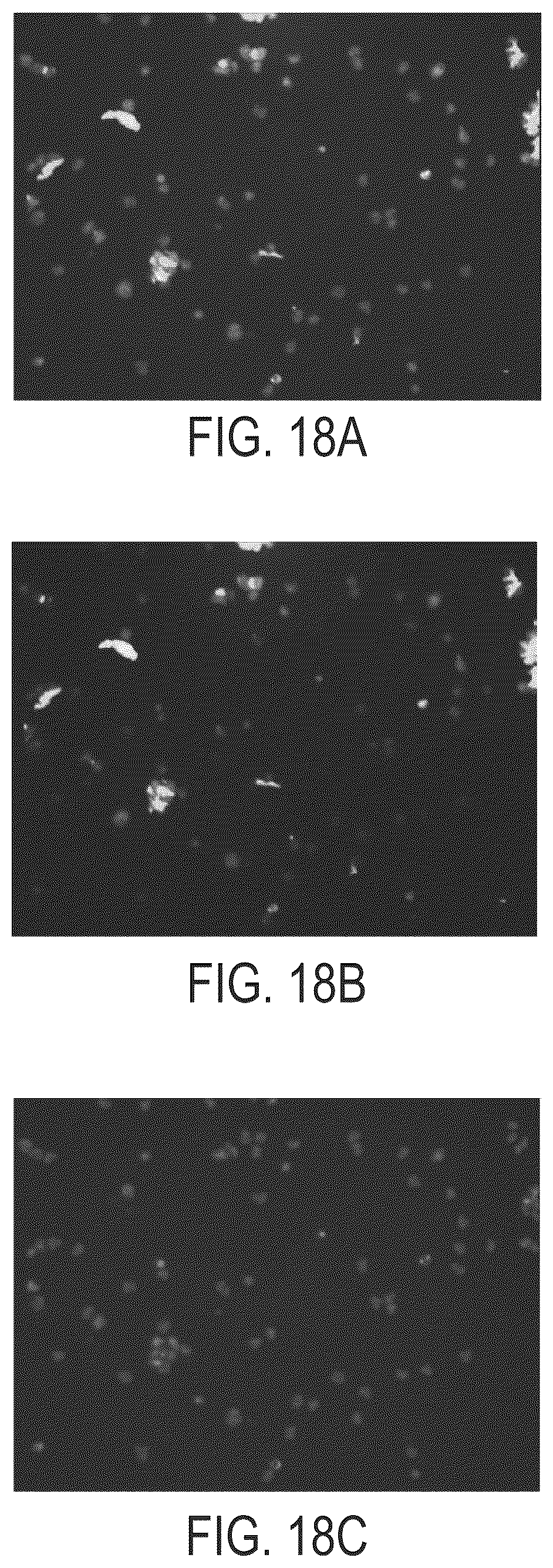 Patent US12297235 Figure 19 – Synthetic peptide compounds and methods of use