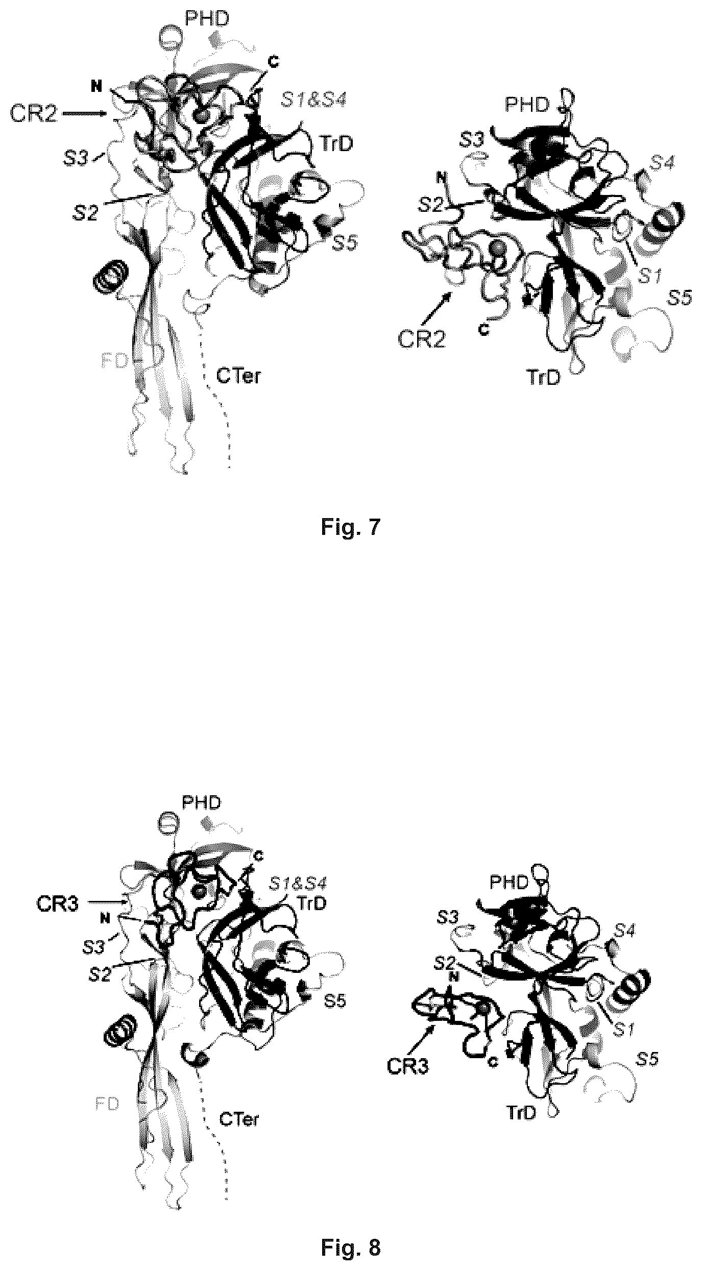 Patent US12297237 Figure 4 – Mutated glycoprotein of vesicular stomatitis virus