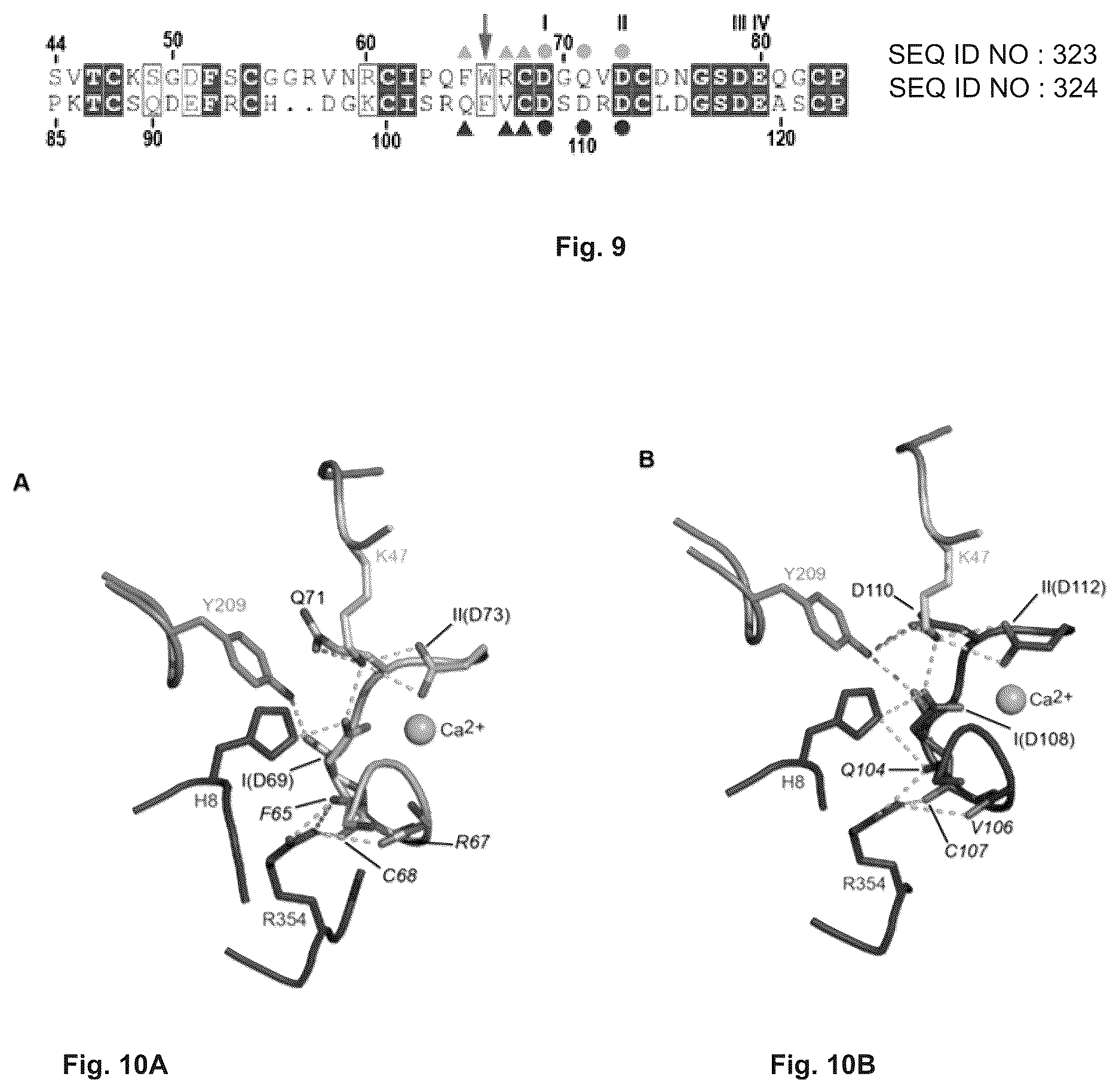 Patent US12297237 Figure 5 – Mutated glycoprotein of vesicular stomatitis virus