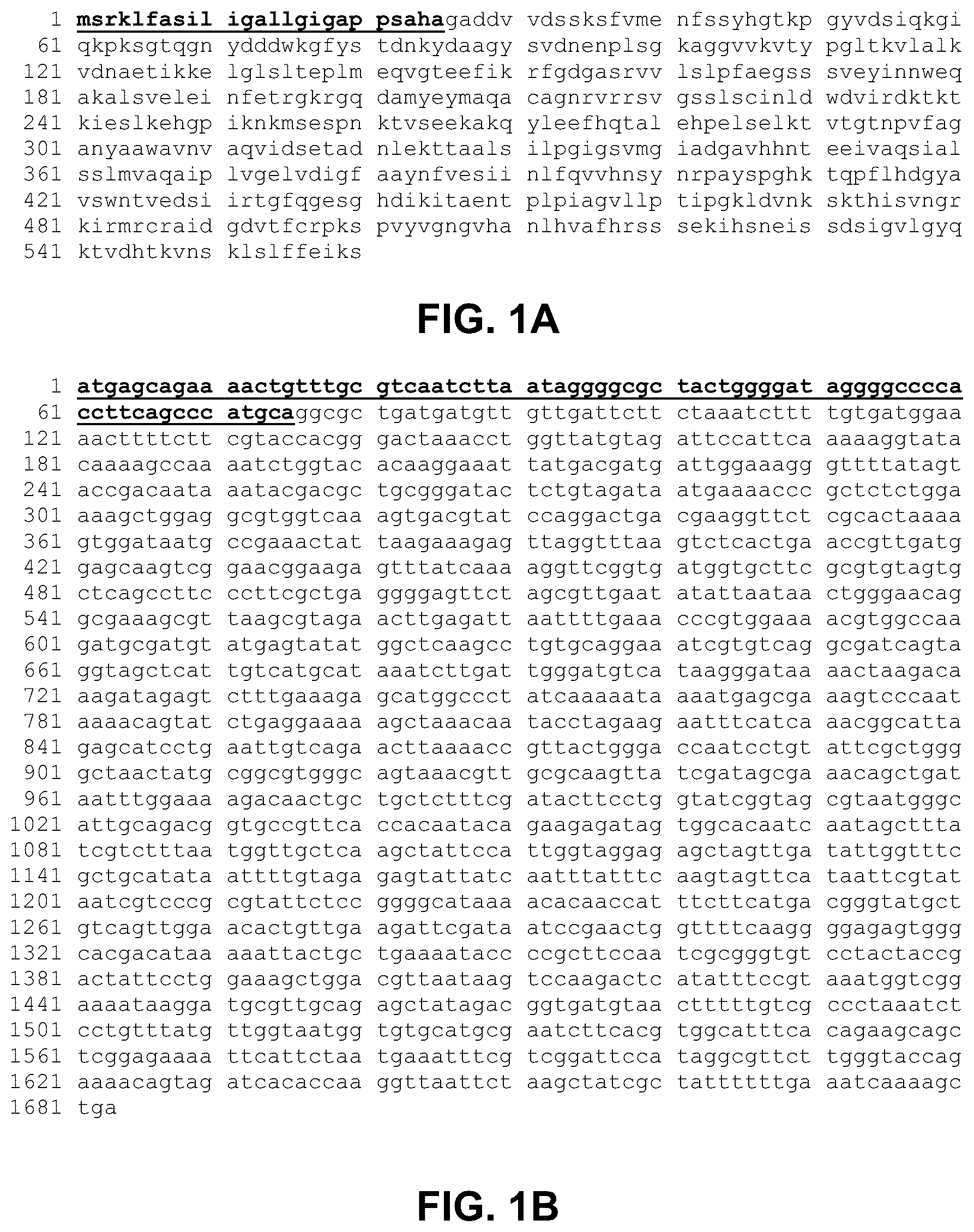 Patent US12297239 Figure 1 – E. coli deficient in Lon and SulA for gene targeting