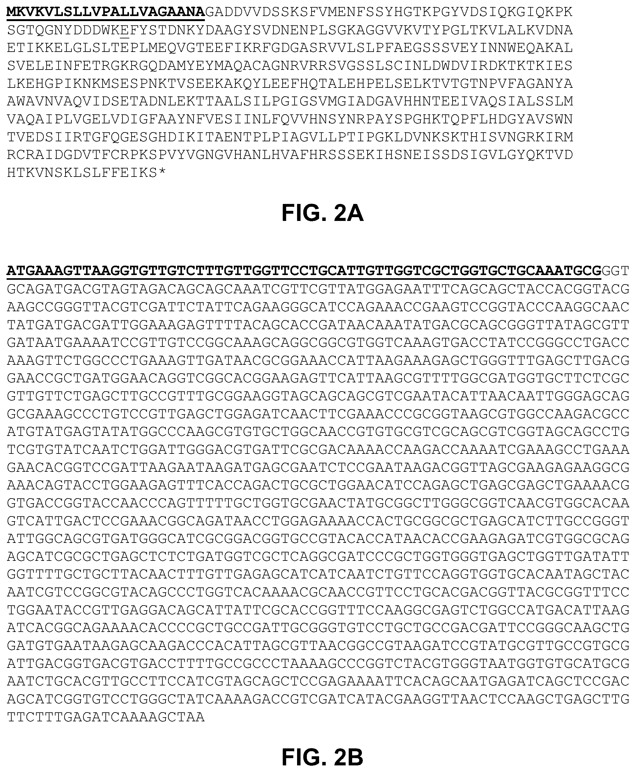 Patent US12297239 Figure 2 – E. coli deficient in Lon and SulA for gene targeting