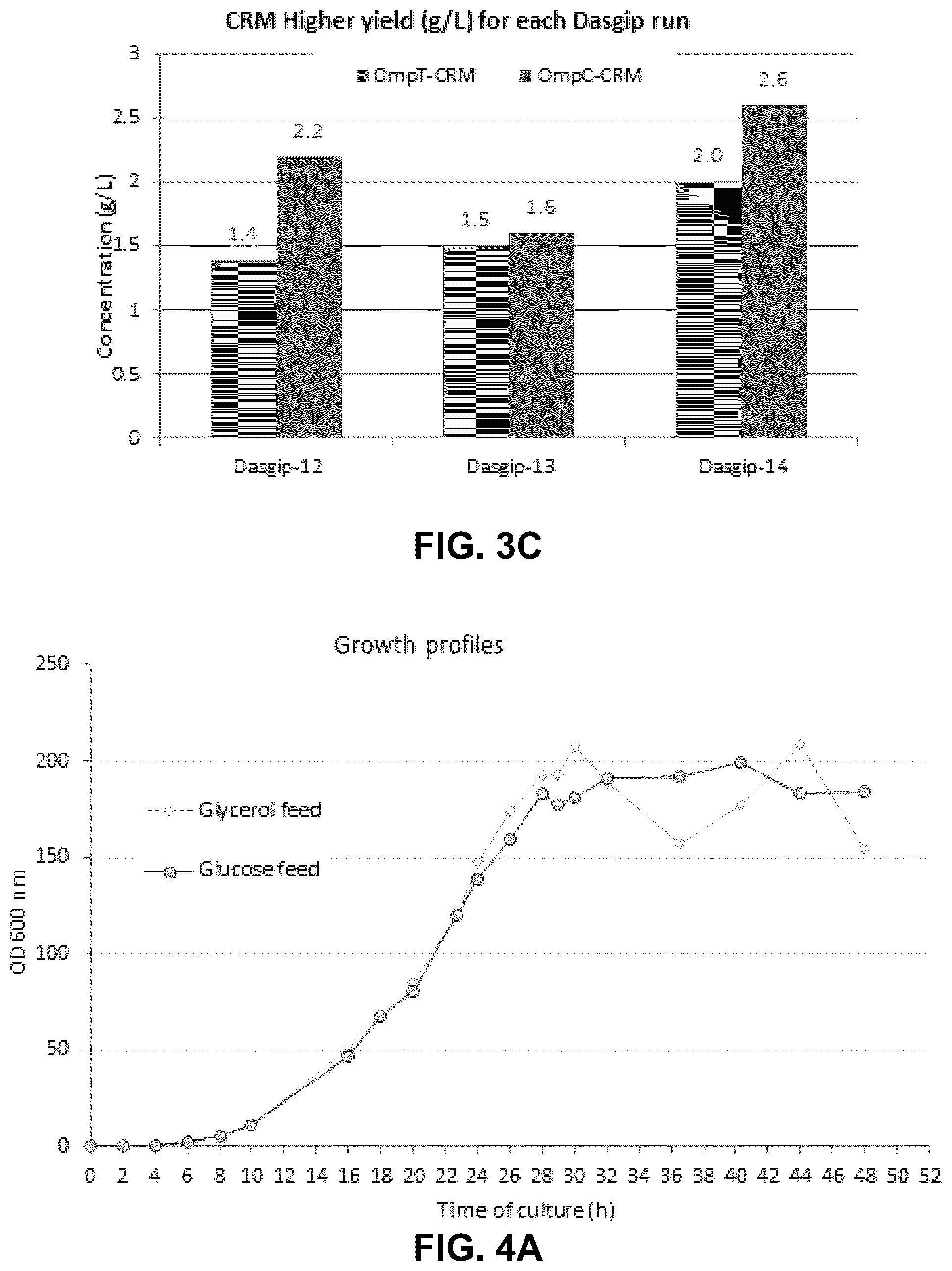 Patent US12297239 Figure 5 – E. coli deficient in Lon and SulA for gene targeting