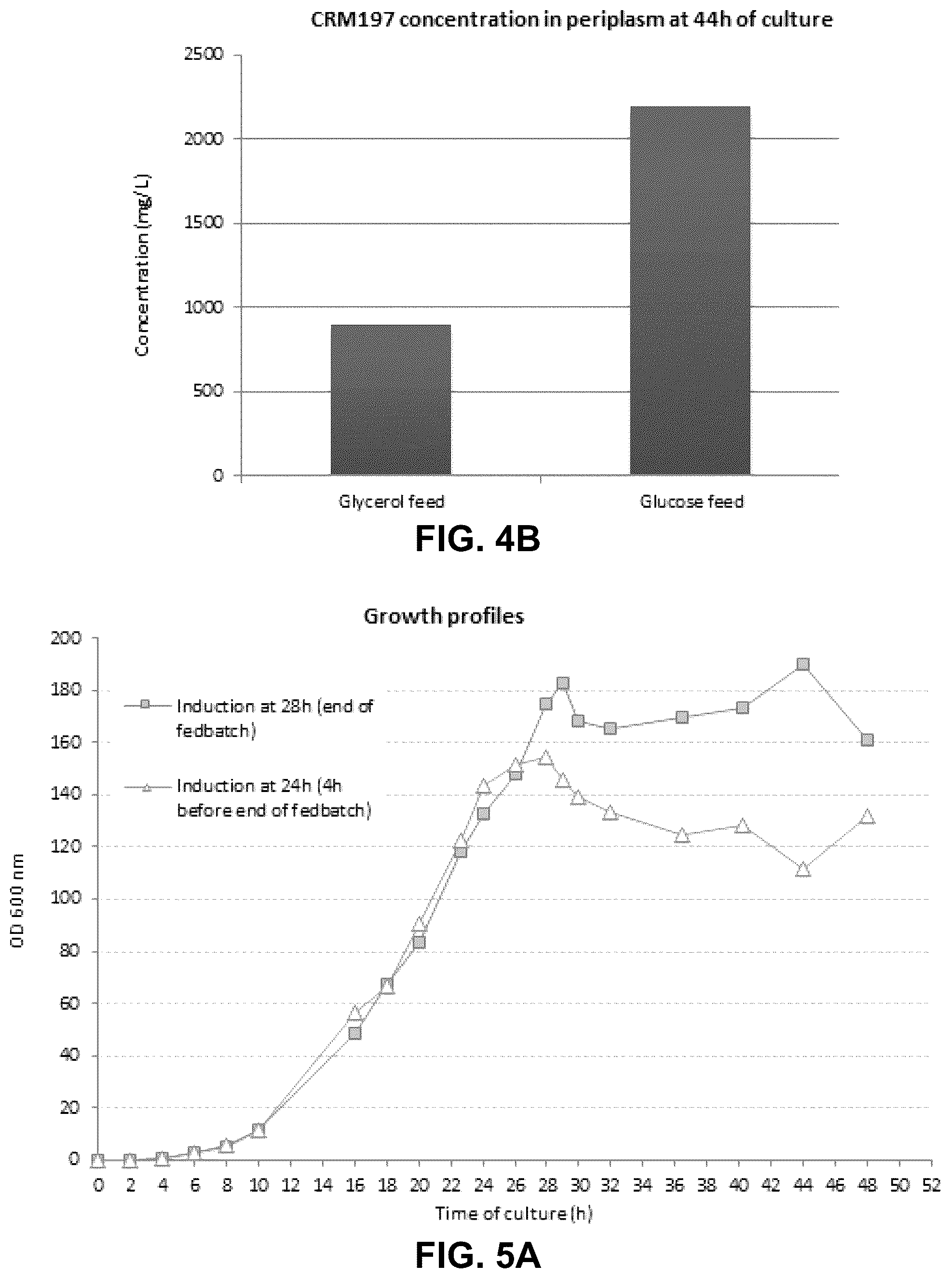 Patent US12297239 Figure 6 – E. coli deficient in Lon and SulA for gene targeting