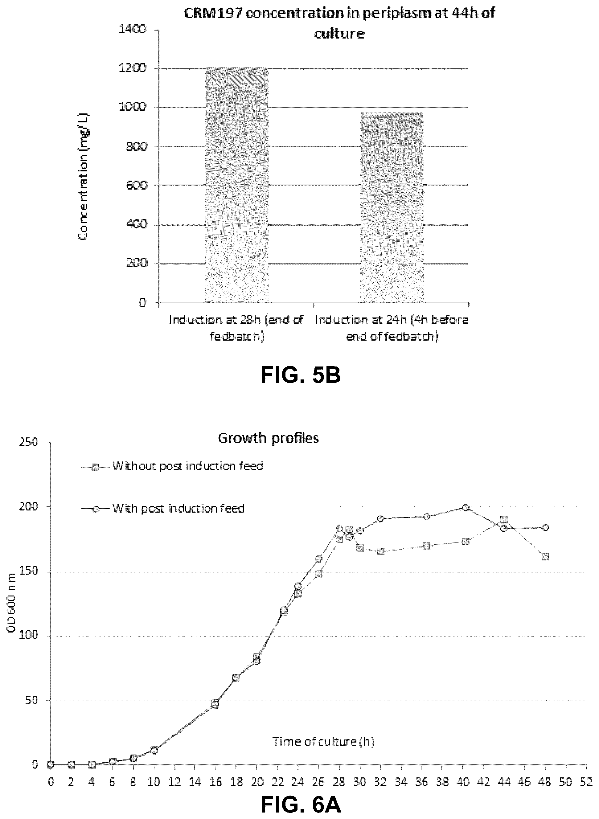 Patent US12297239 Figure 7 – E. coli deficient in Lon and SulA for gene targeting