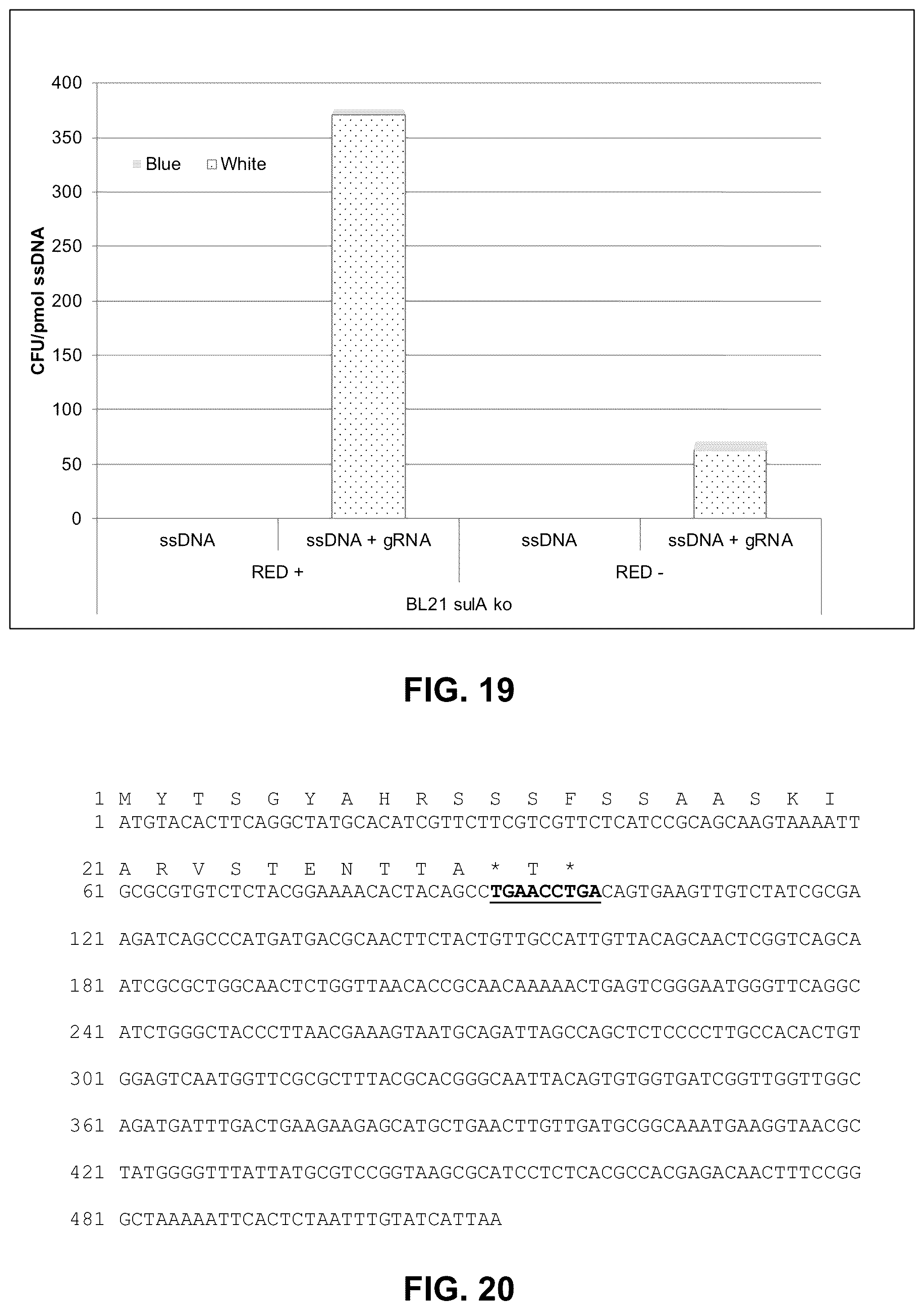 Patent US12297239 Figure 18 – E. coli deficient in Lon and SulA for gene targeting