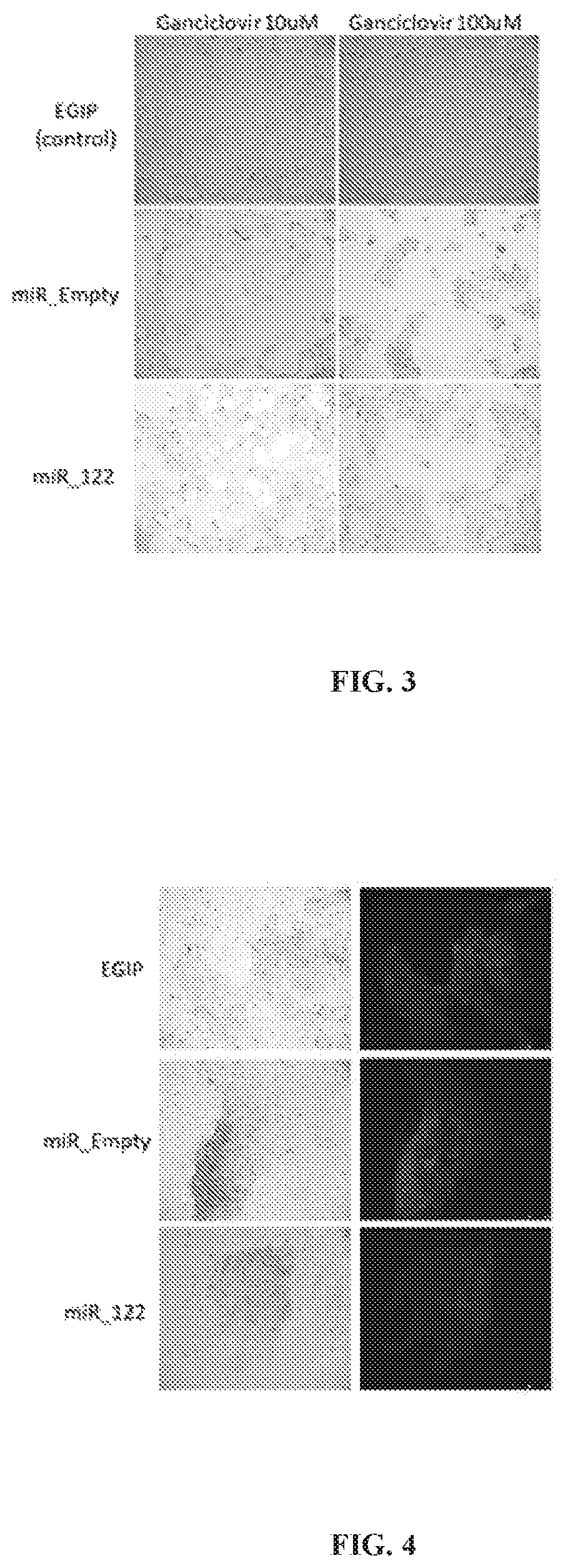 Patent US12297241 Figure 3 – Method to engineer transplantable human tissues