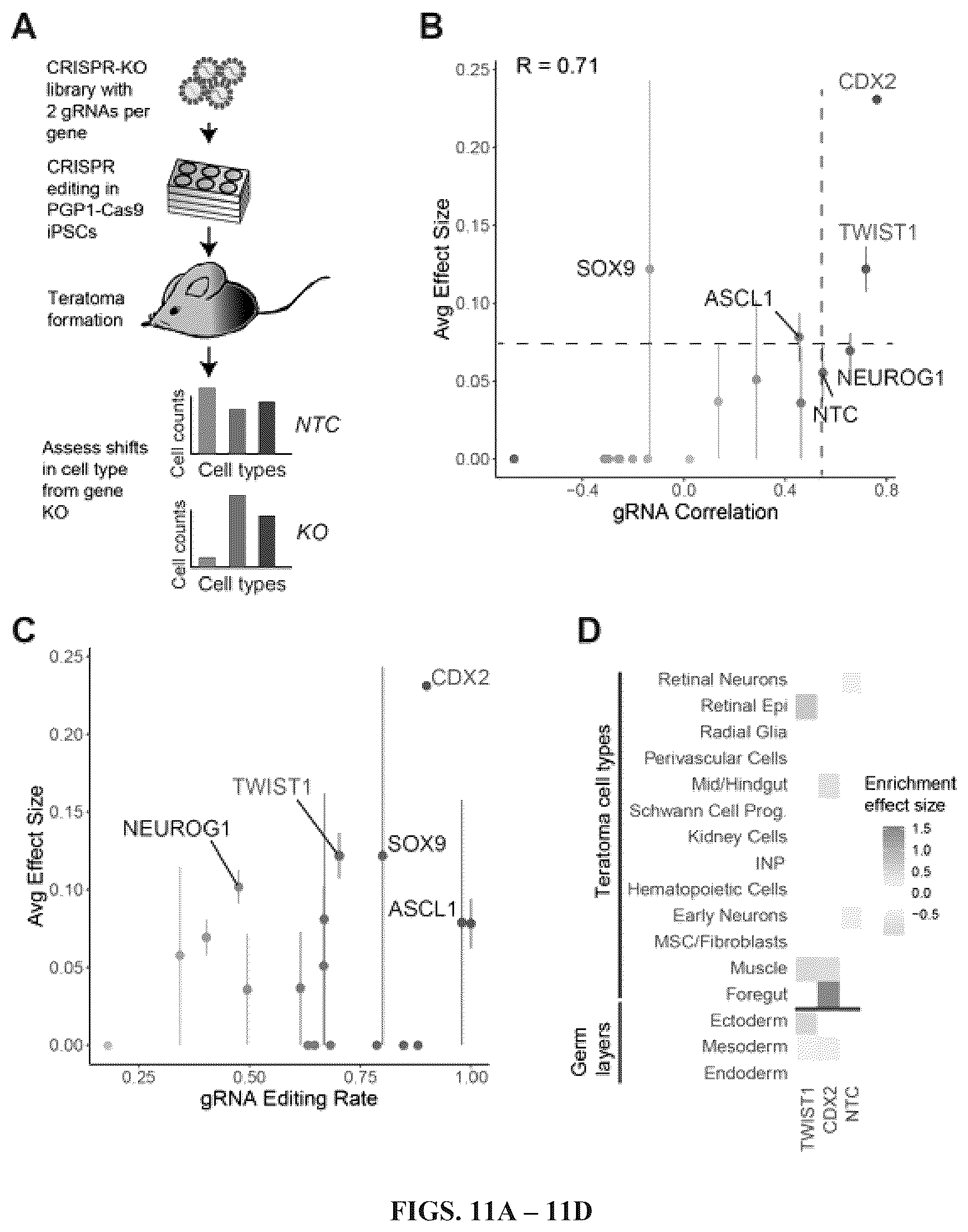 Patent US12297241 Figure 9 – Method to engineer transplantable human tissues