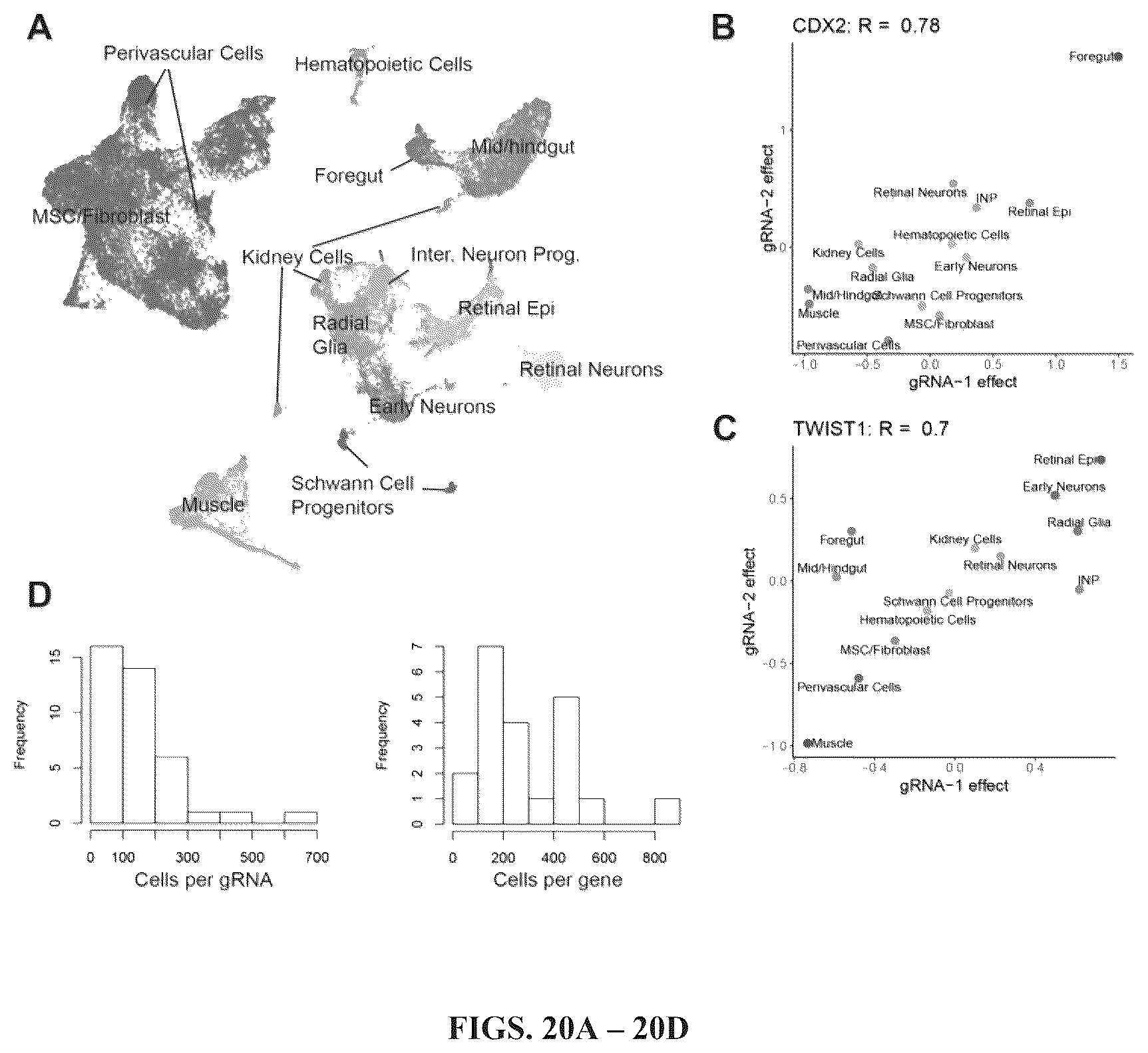 Patent US12297241 Figure 17 – Method to engineer transplantable human tissues