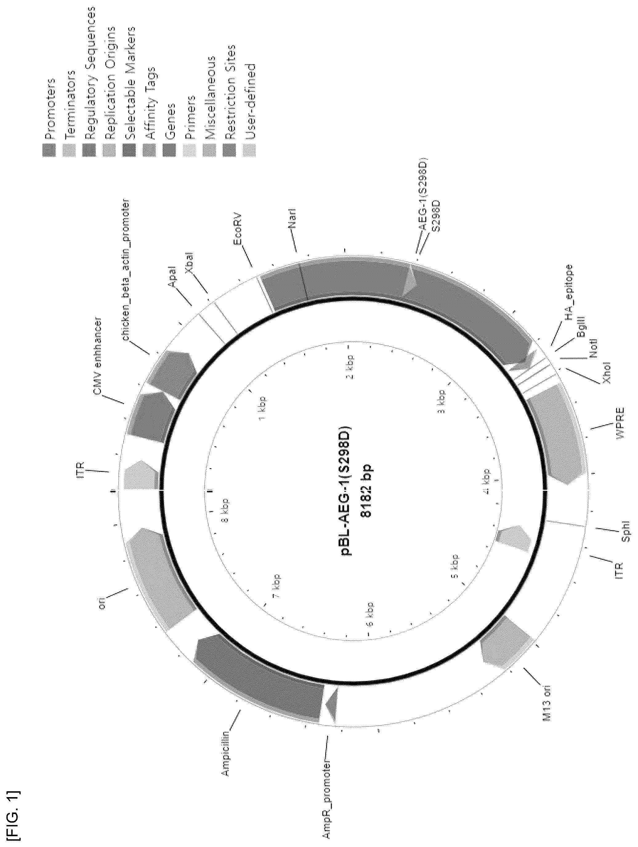 Patent US12297242 Figure 1 – Composition for preventing or treating Parkinson's disease, comprising AEG-1 S298D as active ingredient