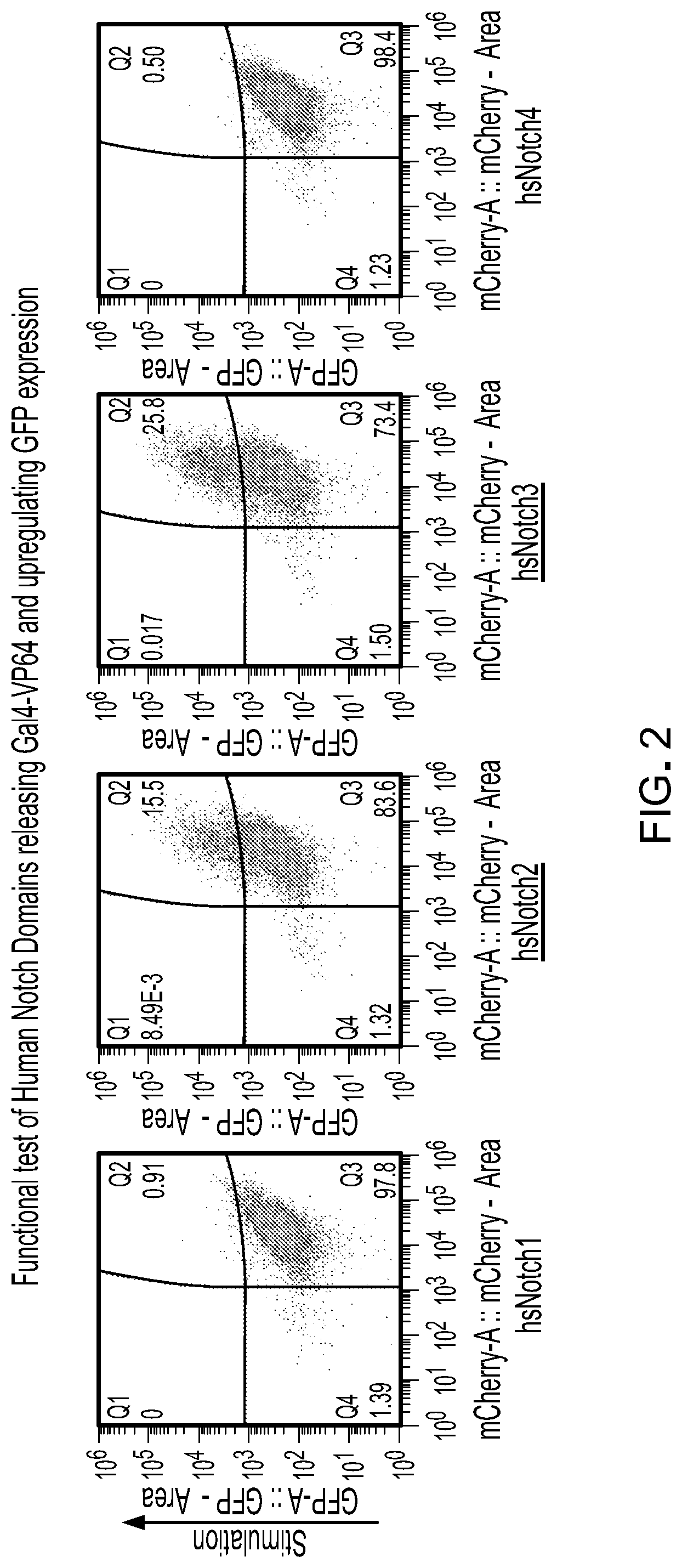 Patent US12297243 Figure 2 – Methods and compositions for reducing the immunogenicity of chimeric notch receptors