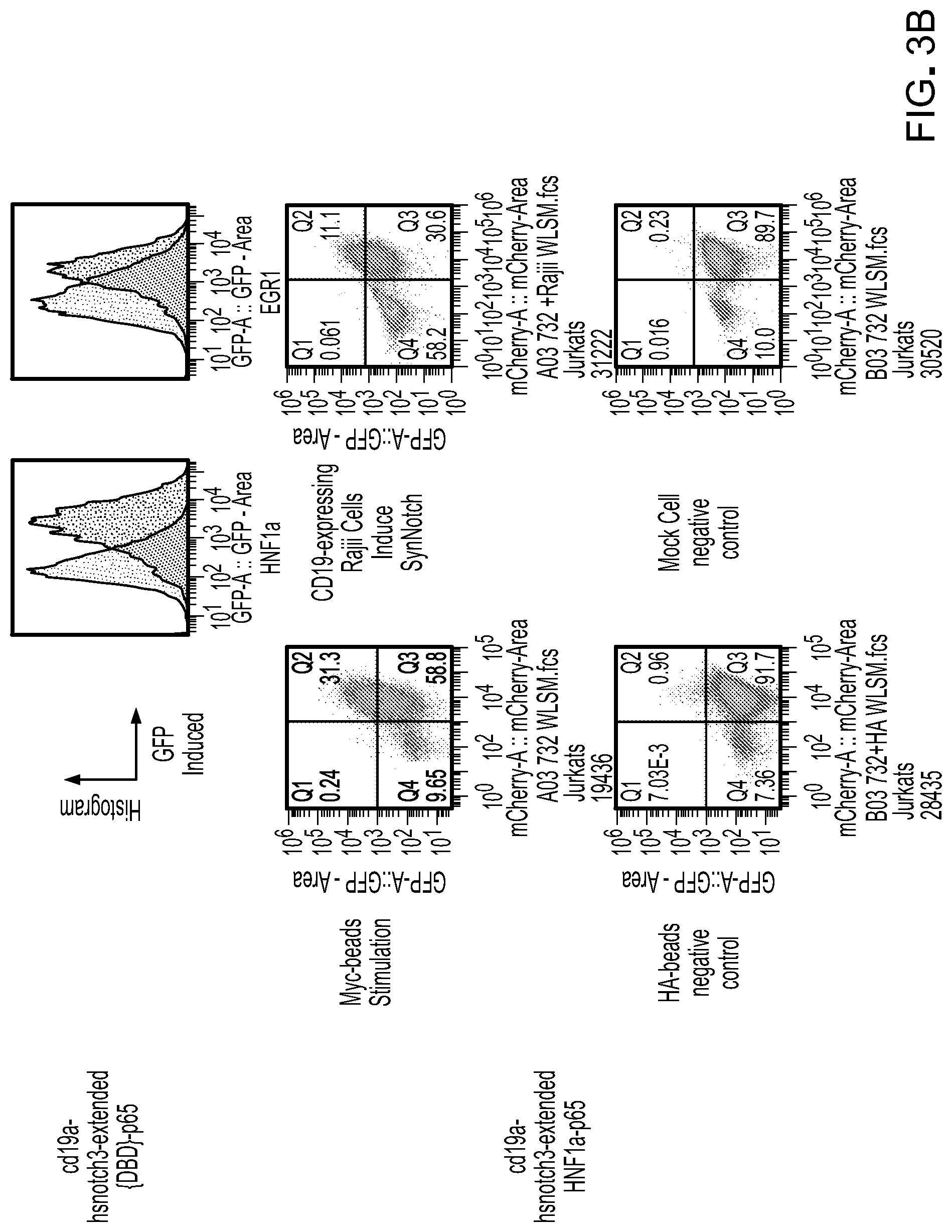 Patent US12297243 Figure 4 – Methods and compositions for reducing the immunogenicity of chimeric notch receptors