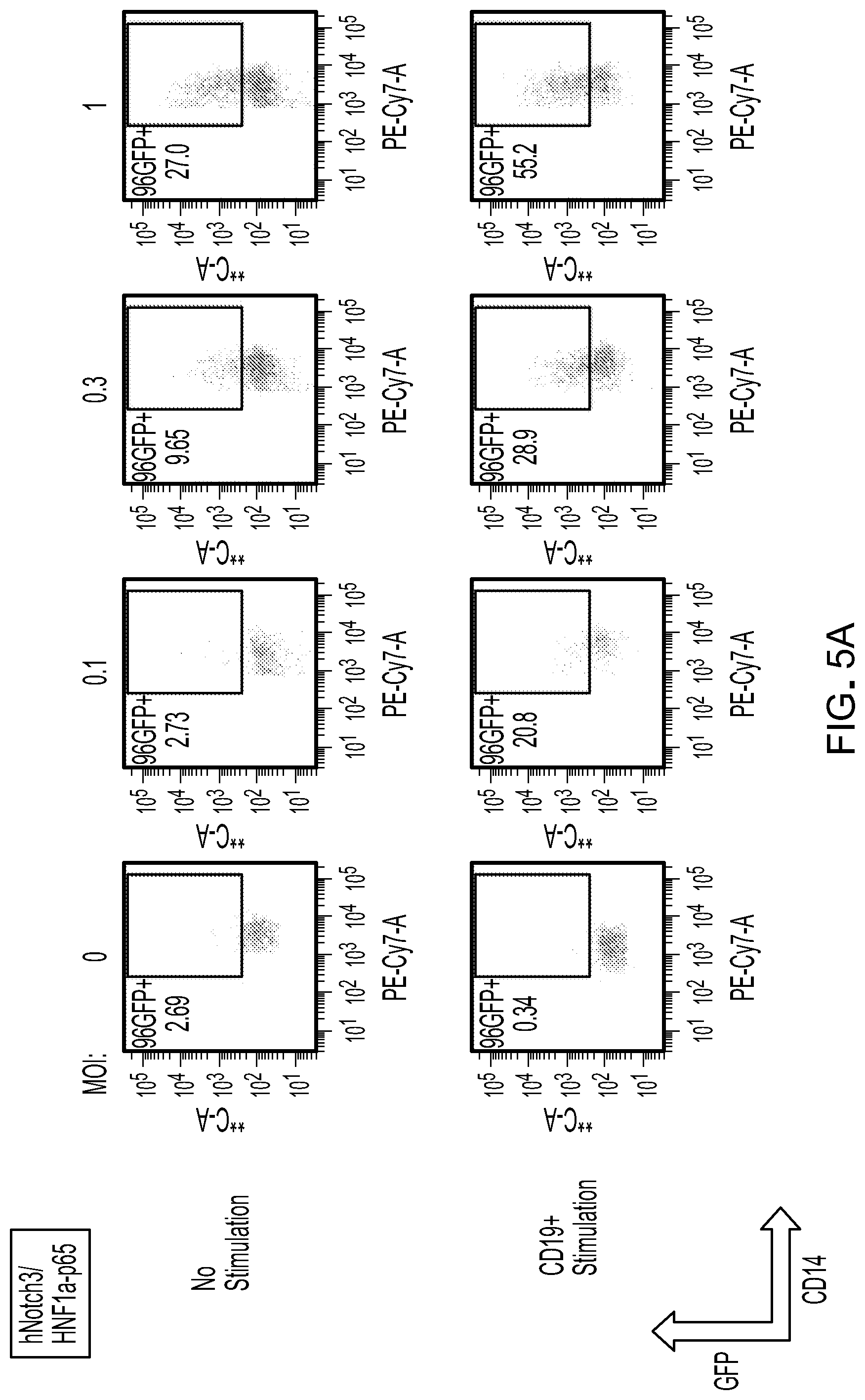 Patent US12297243 Figure 6 – Methods and compositions for reducing the immunogenicity of chimeric notch receptors