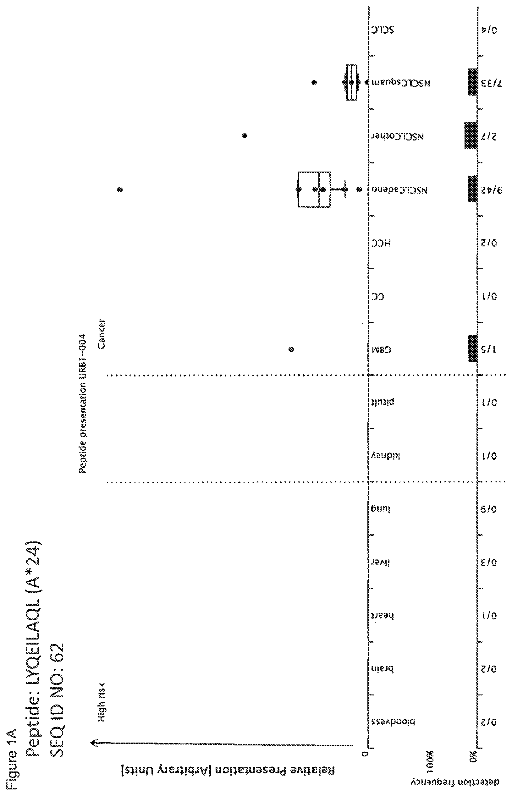Patent US12297245 Figure 1 – Peptides and combination of peptides for use in immunotherapy against lung cancer, including NSCLC, SCLC and other cancers