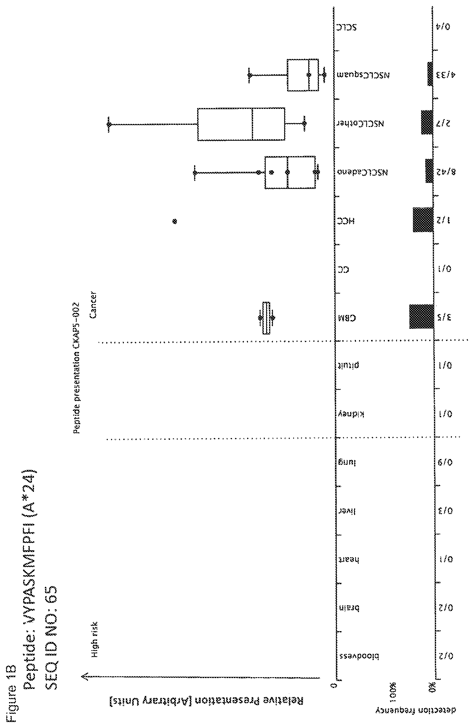 Patent US12297245 Figure 2 – Peptides and combination of peptides for use in immunotherapy against lung cancer, including NSCLC, SCLC and other cancers