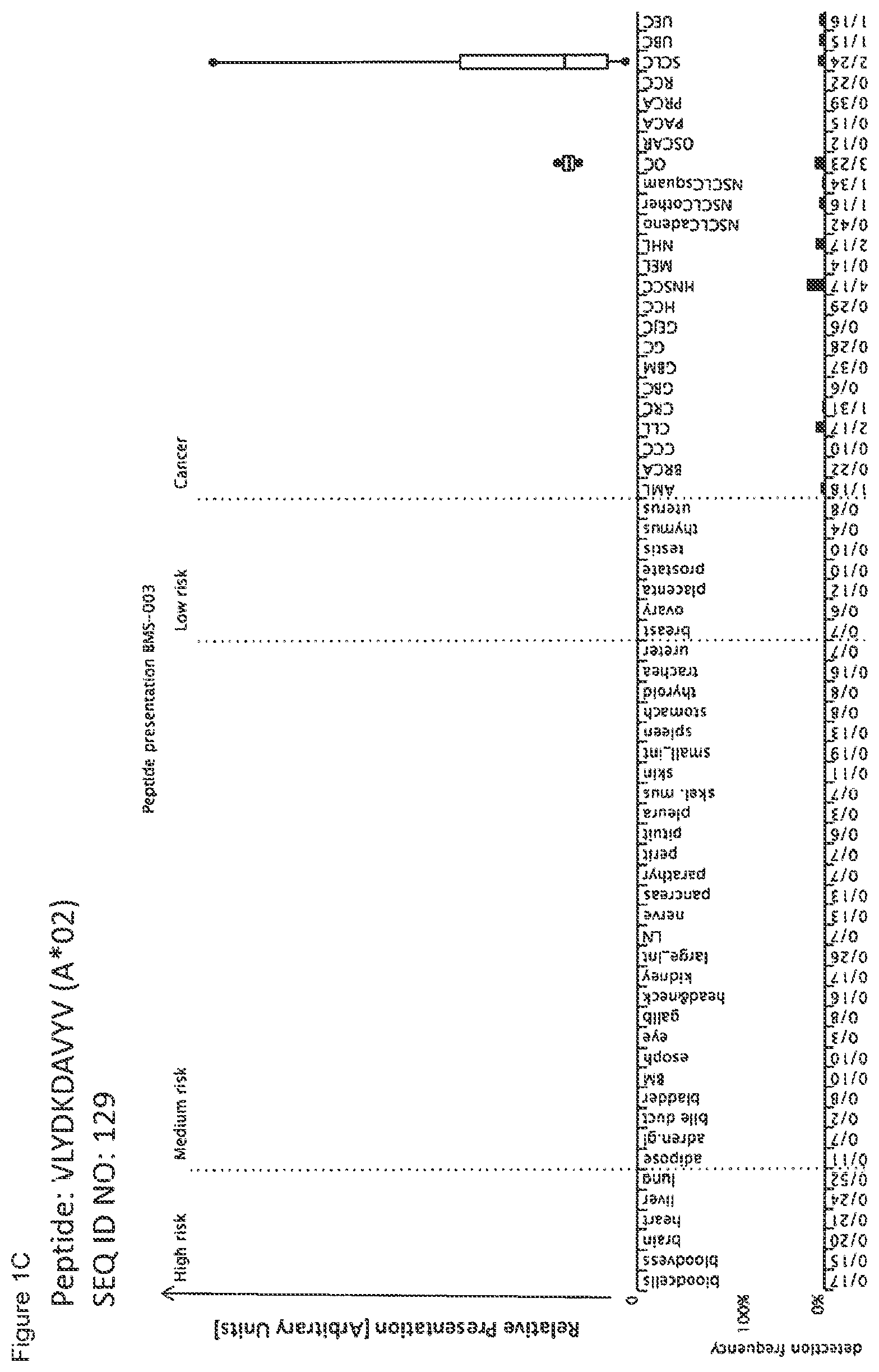 Patent US12297245 Figure 3 – Peptides and combination of peptides for use in immunotherapy against lung cancer, including NSCLC, SCLC and other cancers