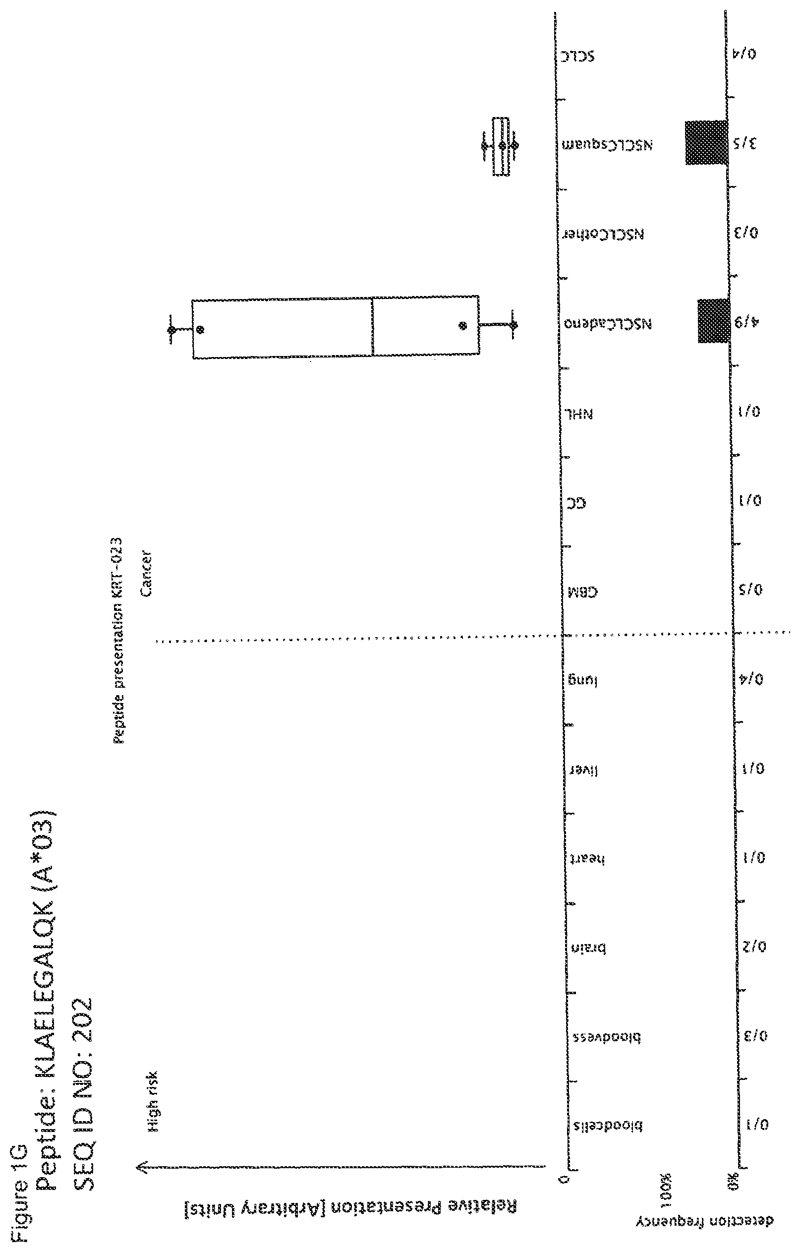 Patent US12297245 Figure 7 – Peptides and combination of peptides for use in immunotherapy against lung cancer, including NSCLC, SCLC and other cancers