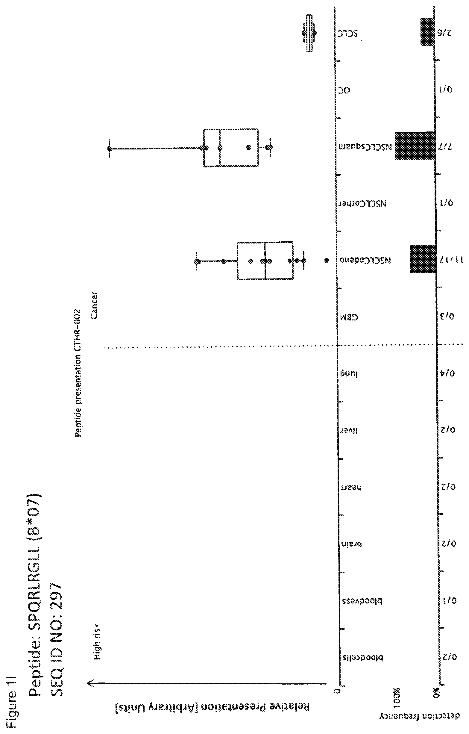 Patent US12297245 Figure 9 – Peptides and combination of peptides for use in immunotherapy against lung cancer, including NSCLC, SCLC and other cancers