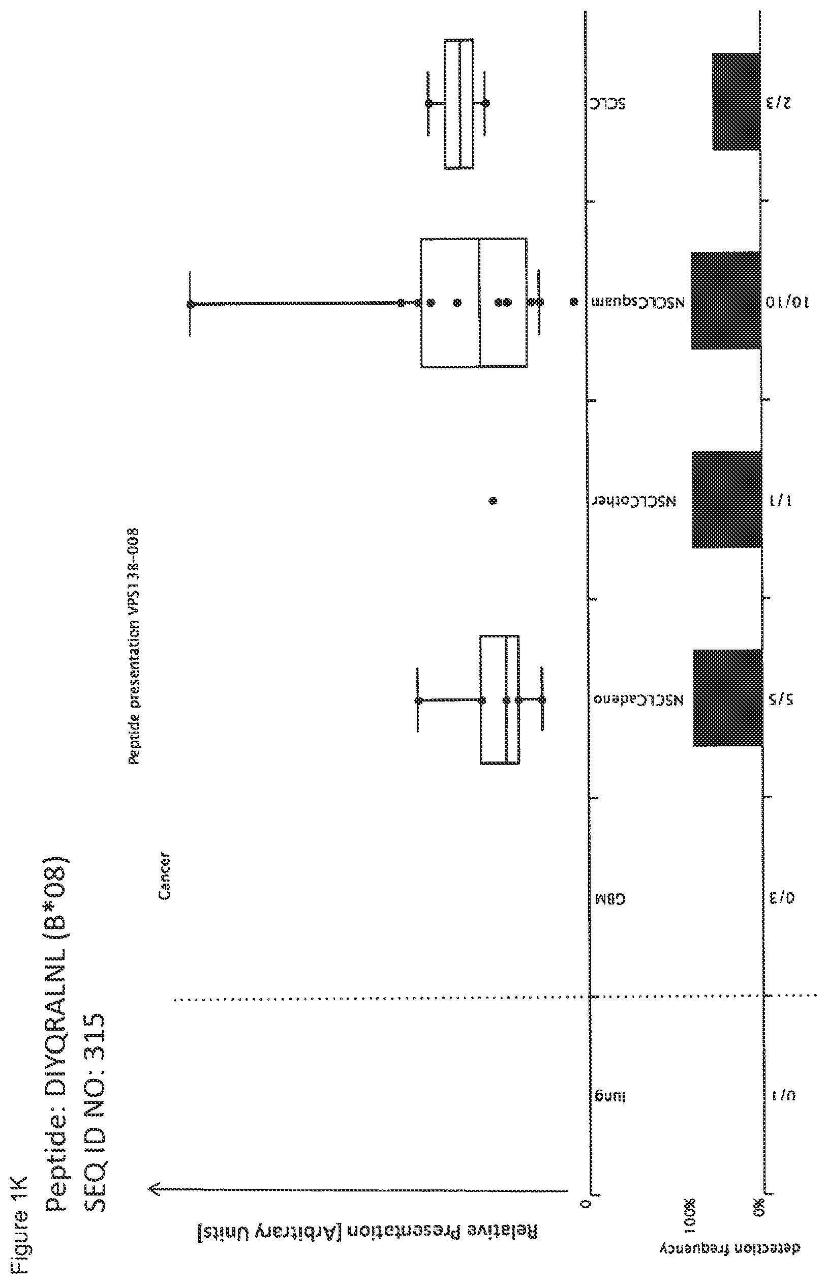 Patent US12297245 Figure 11 – Peptides and combination of peptides for use in immunotherapy against lung cancer, including NSCLC, SCLC and other cancers