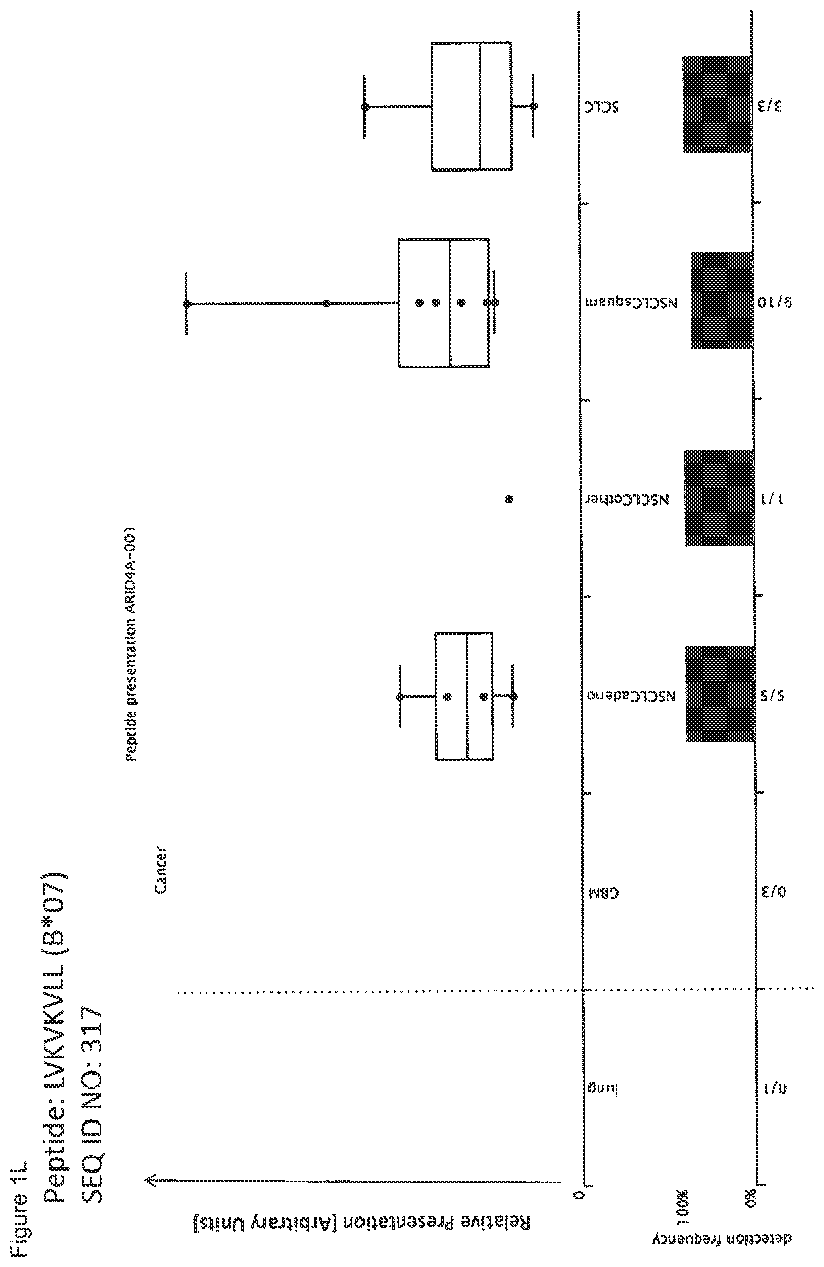 Patent US12297245 Figure 12 – Peptides and combination of peptides for use in immunotherapy against lung cancer, including NSCLC, SCLC and other cancers