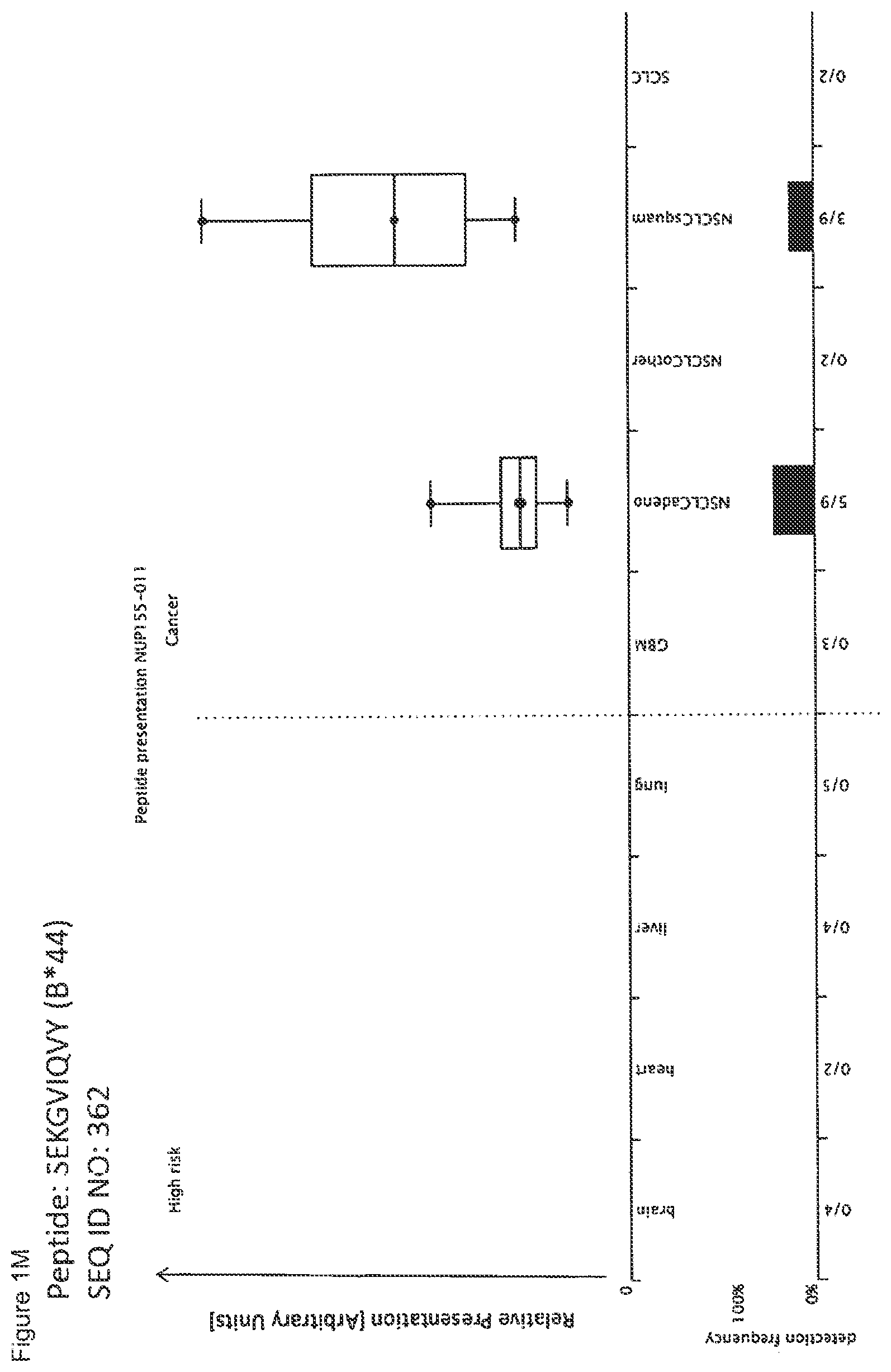 Patent US12297245 Figure 13 – Peptides and combination of peptides for use in immunotherapy against lung cancer, including NSCLC, SCLC and other cancers