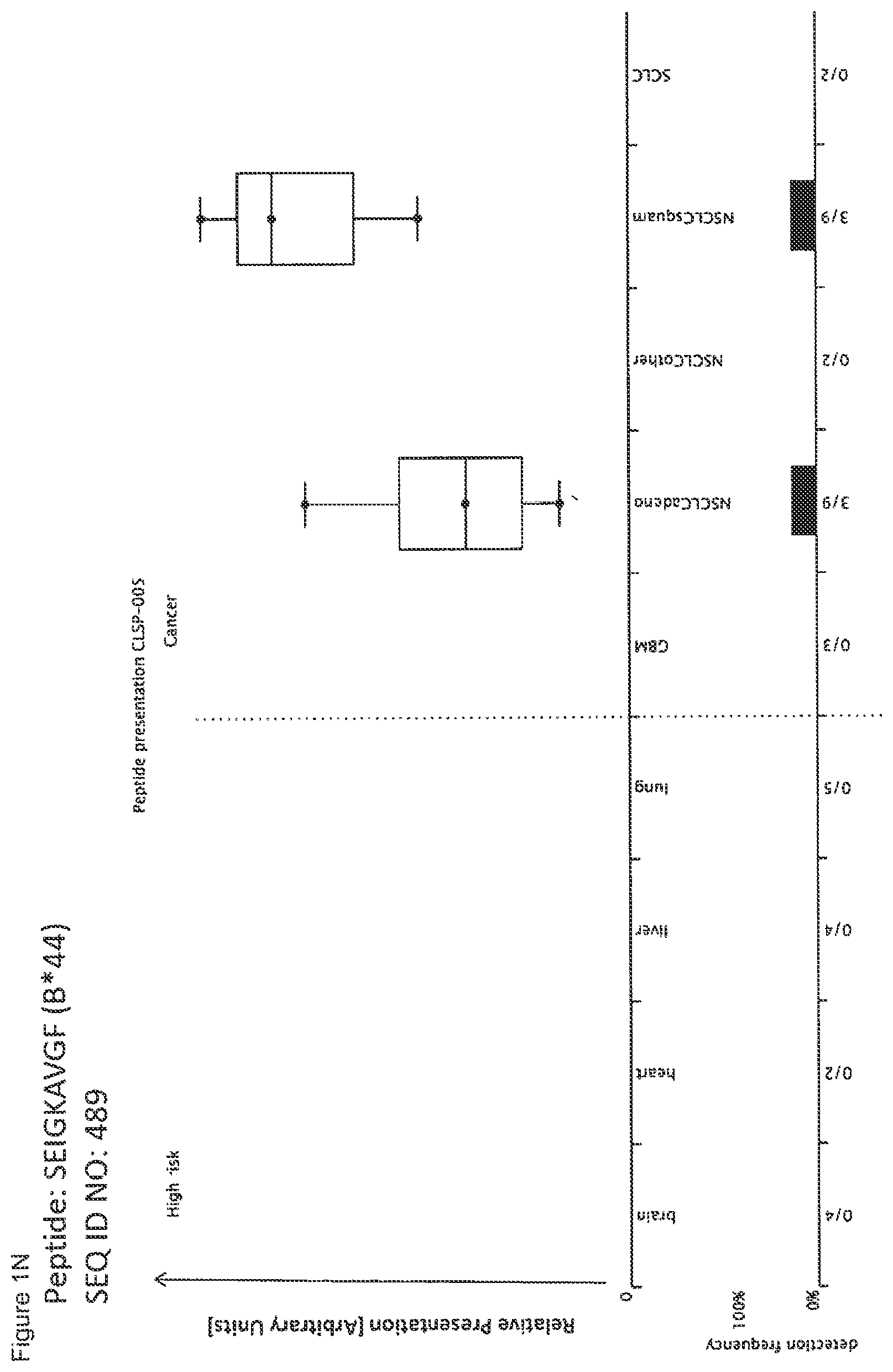 Patent US12297245 Figure 14 – Peptides and combination of peptides for use in immunotherapy against lung cancer, including NSCLC, SCLC and other cancers