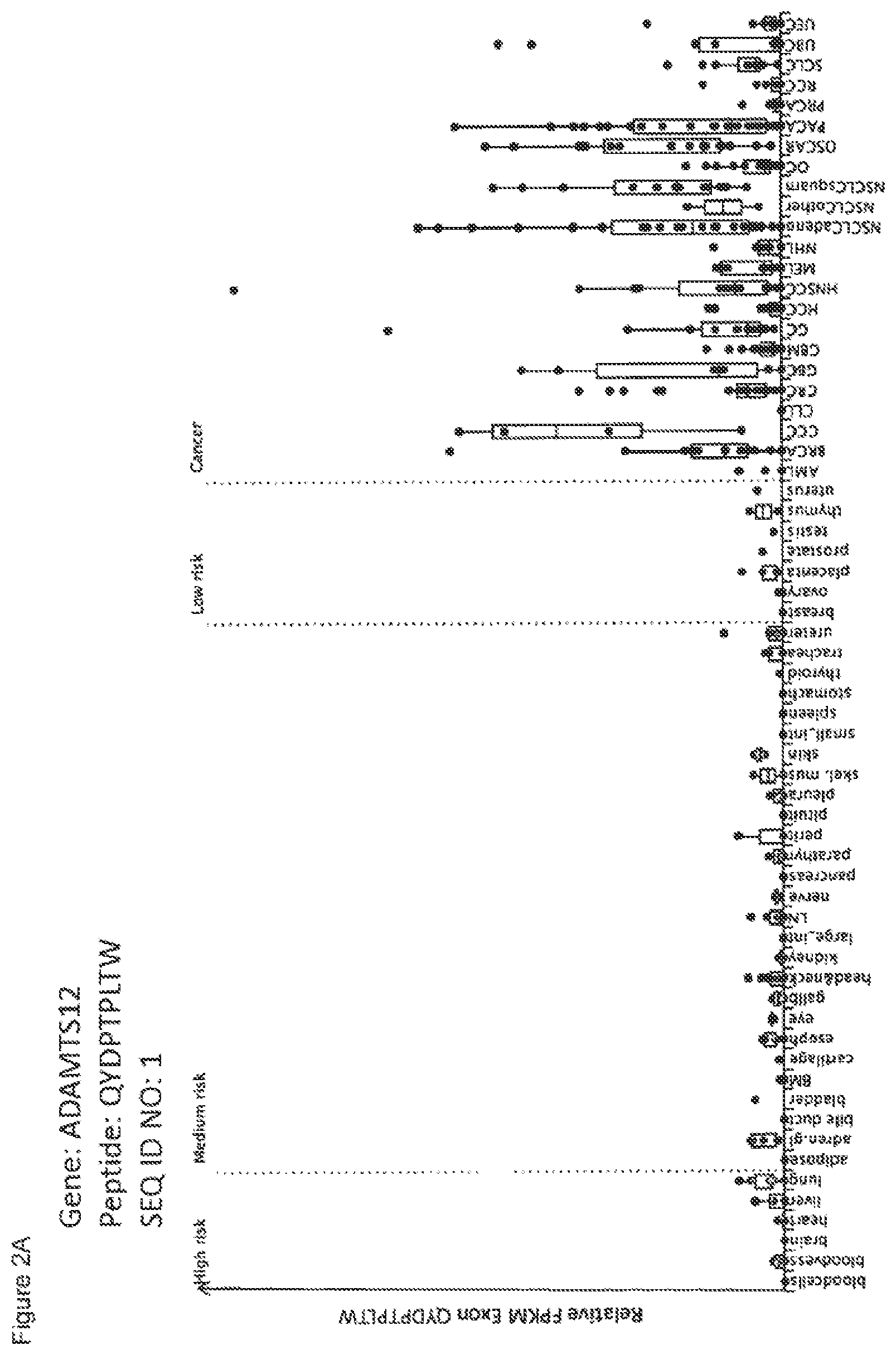 Patent US12297245 Figure 15 – Peptides and combination of peptides for use in immunotherapy against lung cancer, including NSCLC, SCLC and other cancers