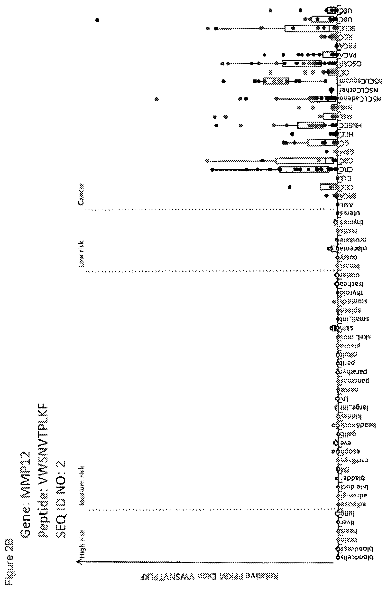 Patent US12297245 Figure 16 – Peptides and combination of peptides for use in immunotherapy against lung cancer, including NSCLC, SCLC and other cancers