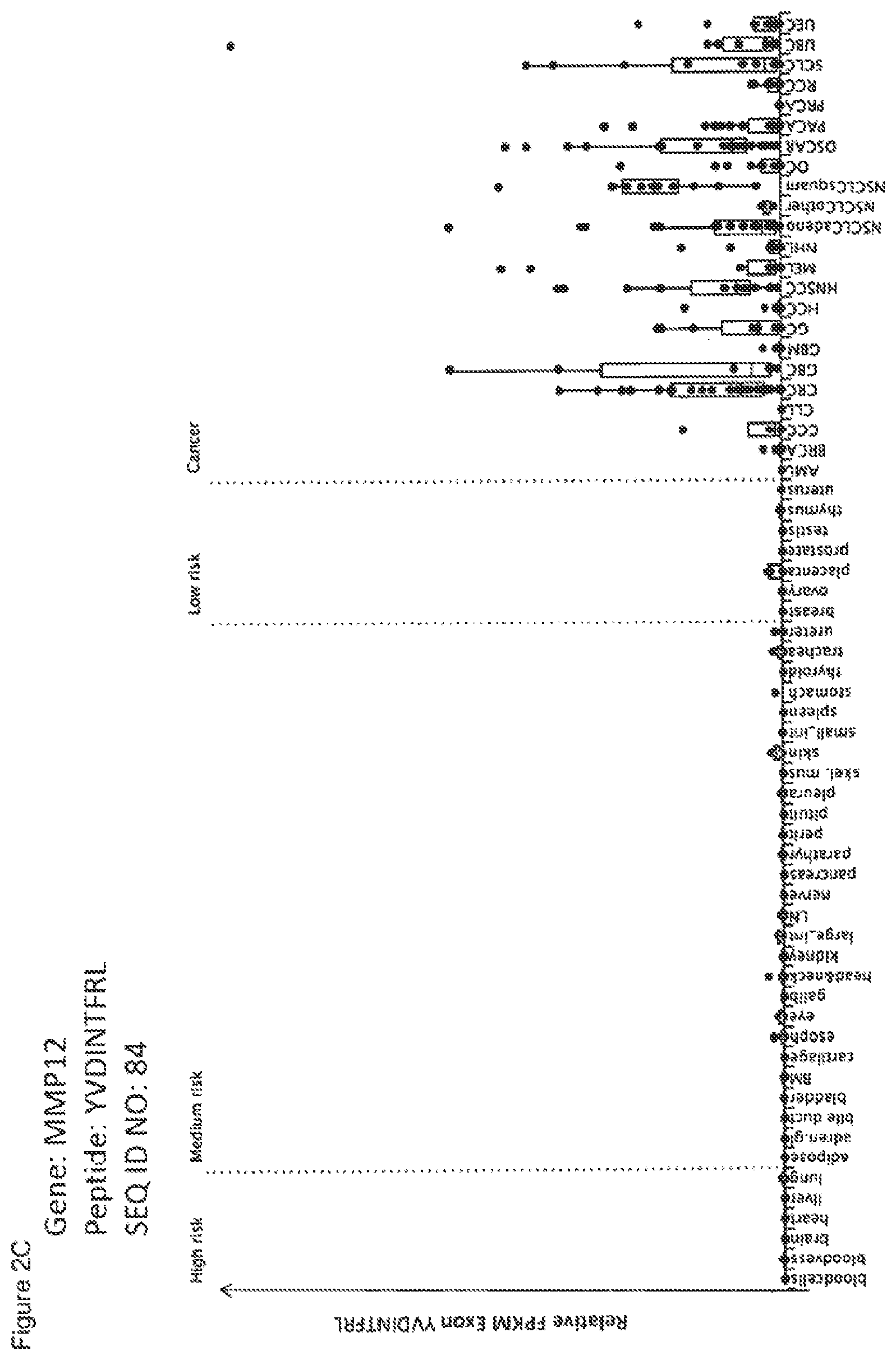 Patent US12297245 Figure 17 – Peptides and combination of peptides for use in immunotherapy against lung cancer, including NSCLC, SCLC and other cancers