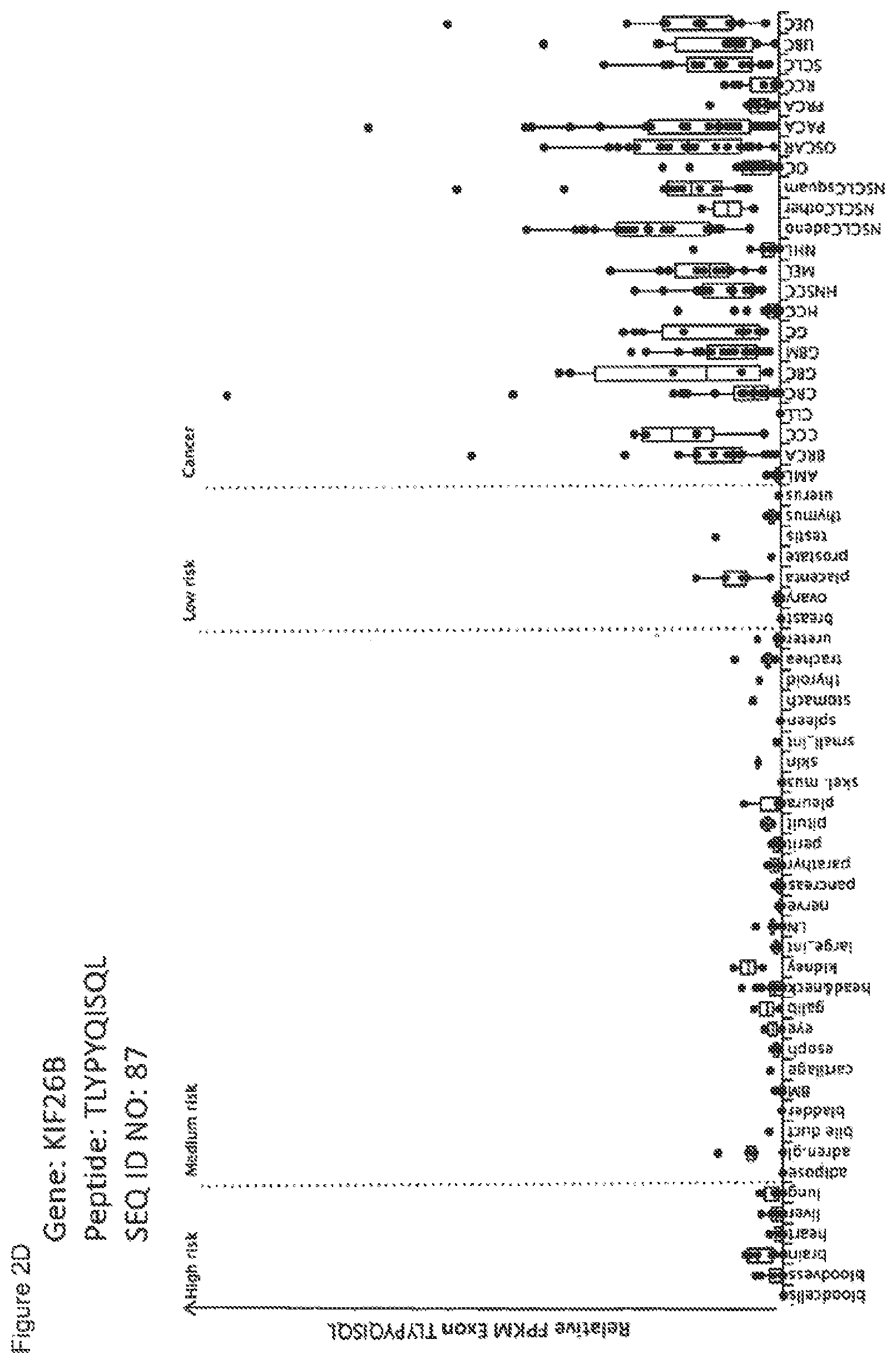 Patent US12297245 Figure 18 – Peptides and combination of peptides for use in immunotherapy against lung cancer, including NSCLC, SCLC and other cancers