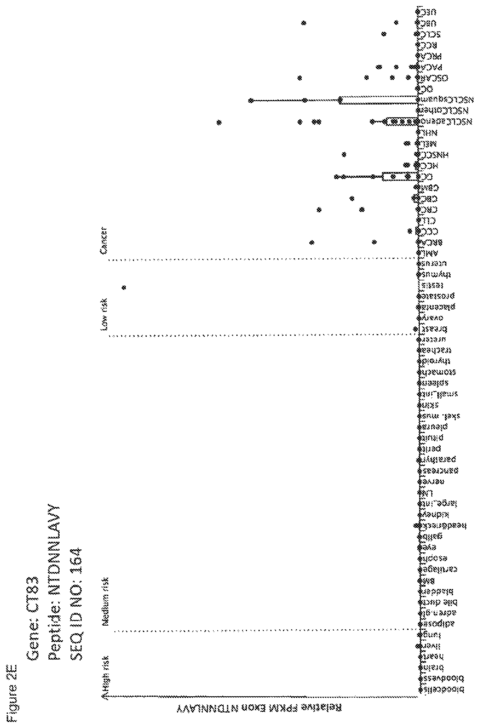 Patent US12297245 Figure 19 – Peptides and combination of peptides for use in immunotherapy against lung cancer, including NSCLC, SCLC and other cancers