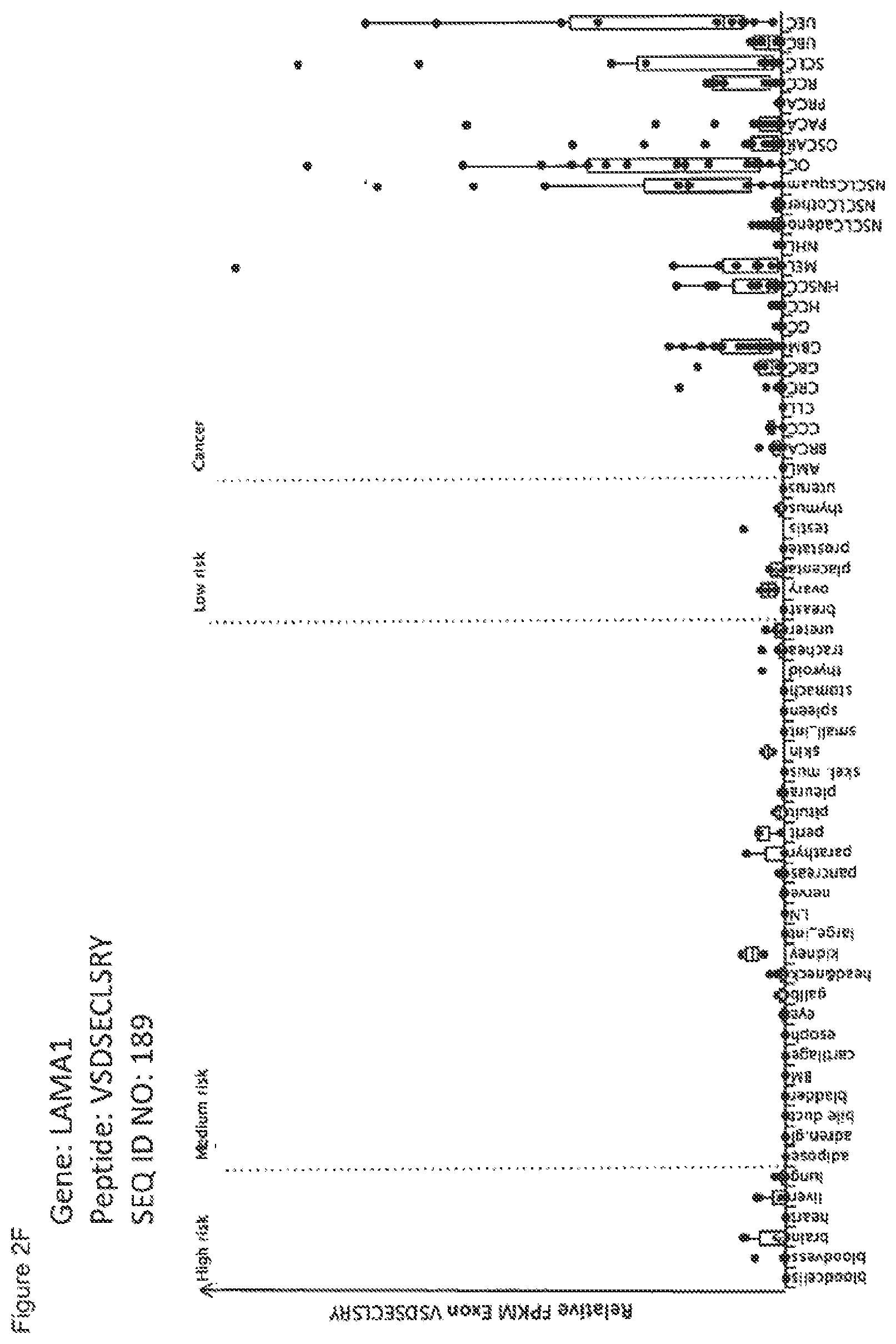 Patent US12297245 Figure 20 – Peptides and combination of peptides for use in immunotherapy against lung cancer, including NSCLC, SCLC and other cancers