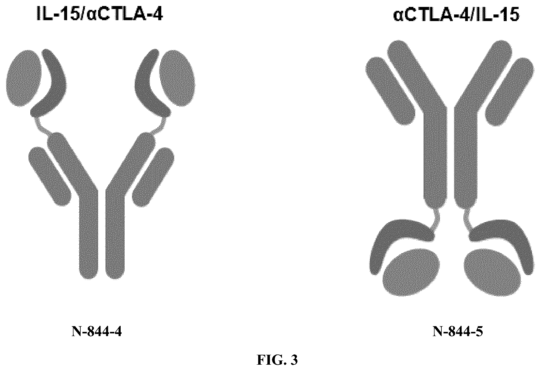 Patent US12297247 Figure 3 – Fusion molecules of CTLA4 and IL-15