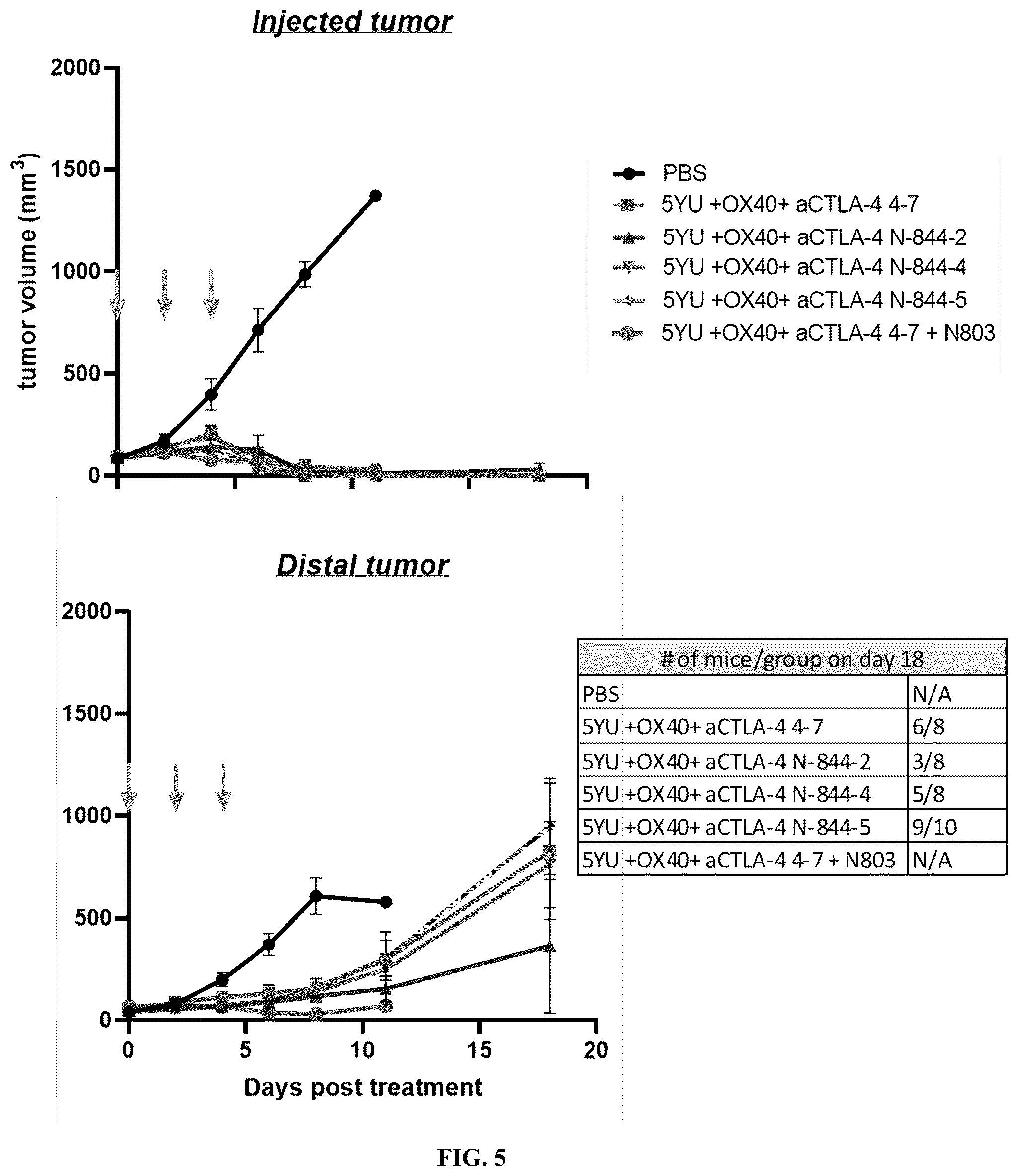 Patent US12297247 Figure 5 – Fusion molecules of CTLA4 and IL-15