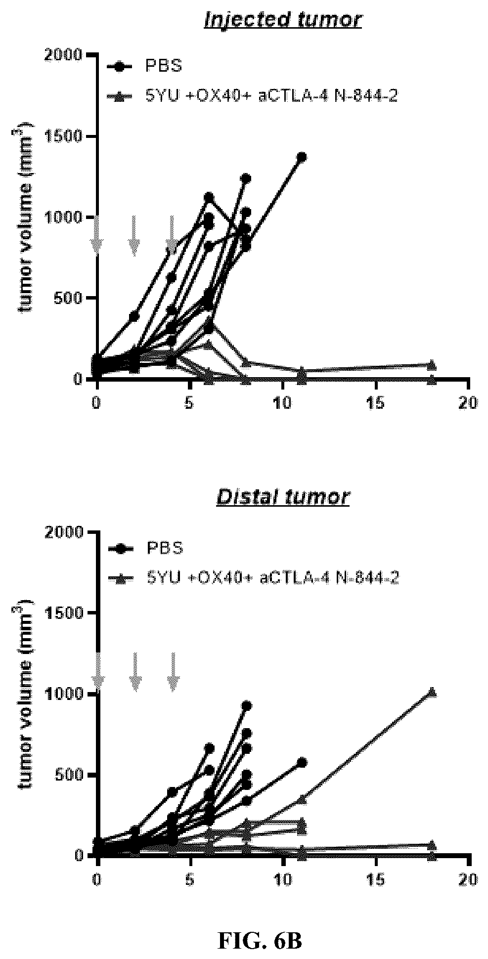 Patent US12297247 Figure 7 – Fusion molecules of CTLA4 and IL-15