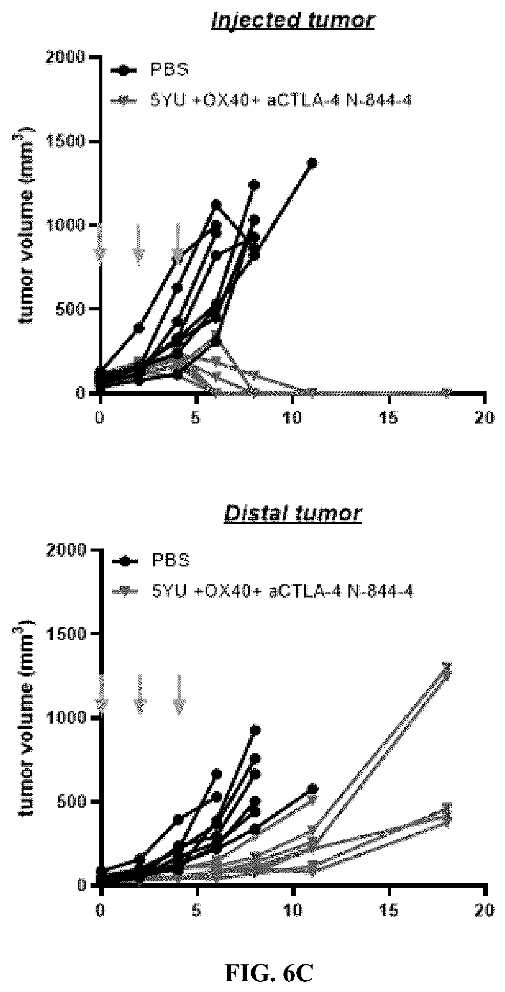 Patent US12297247 Figure 8 – Fusion molecules of CTLA4 and IL-15