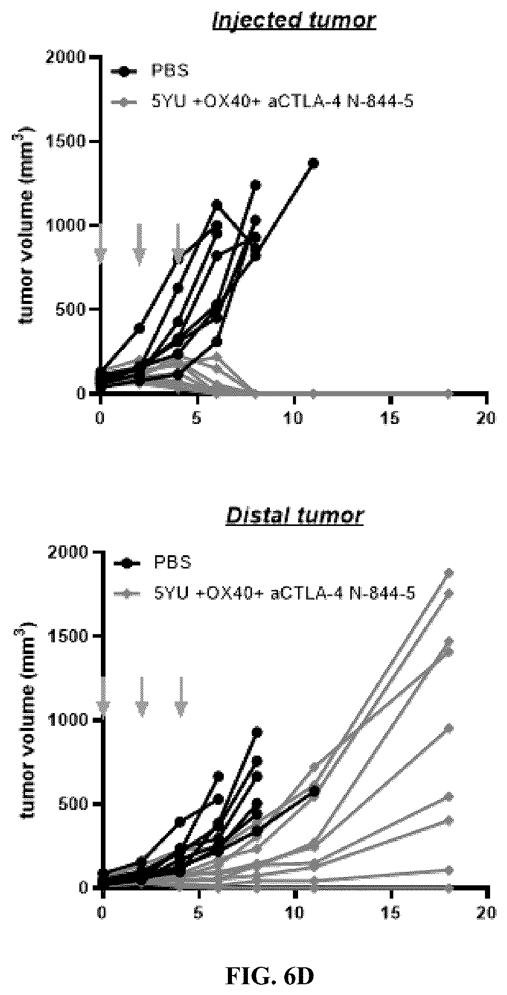 Patent US12297247 Figure 9 – Fusion molecules of CTLA4 and IL-15